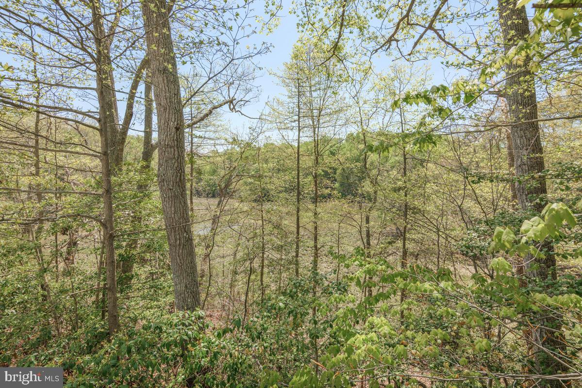 HARBOR HILLS - Residential