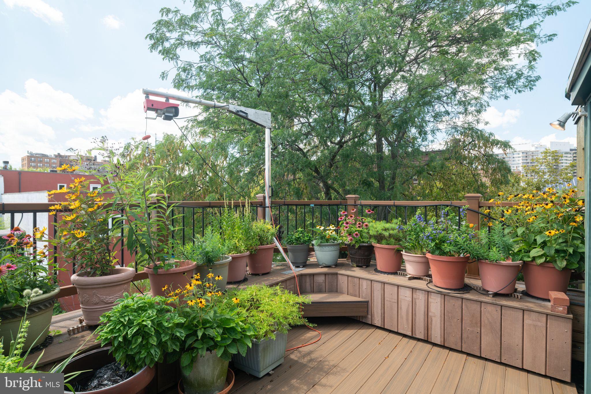 ART MUSEUM AREA - Residential