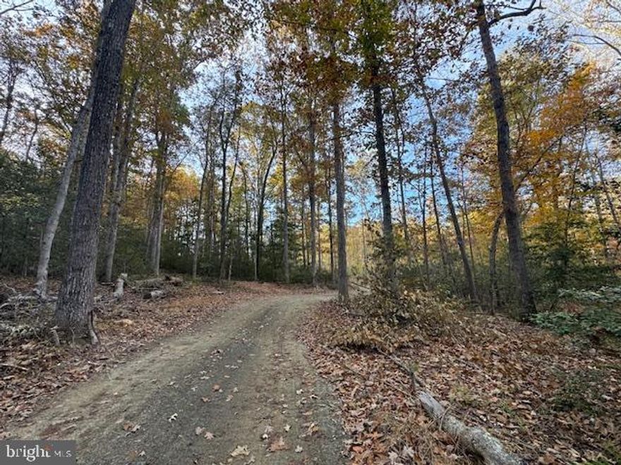 Great Building lot available!! 3 bedroom perc already completed. Lot is wooded. Driveway is currently put in from front lot to the farthest lot. Views of the Mountains and creek  on property. Come and make this your new place to call home.