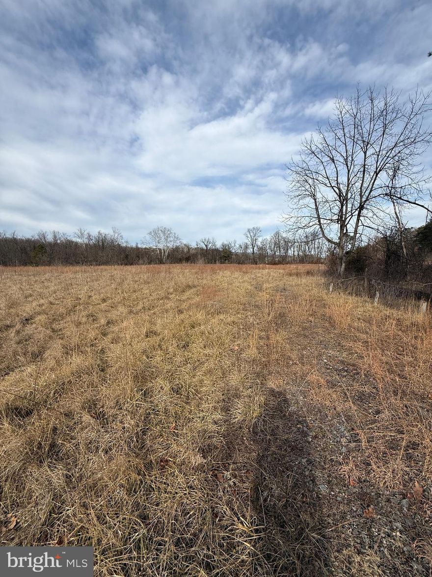 THREE LOTS AVAILABLE this is "Revised Lot 3" 3.49 acres with 1 acre level/cleared and fronting Mesick out of flood plain. Lot 2 is 7.95 Acres @ $225,000 about 1.7 acres level/clear/out of floodplain fronting Messick Road.

1) 16.58 acre  12200 FRAZIER LAKE RD SE $225,000 (all flood zone)
2) 3.49 acre  12301 MESSICK RD $150,000 (1 acre non-flood)
3) 7.95 acre 12313 MESSICK RD $225,000 (1.7 acre non-flood)
4) All 3 lots $495,000
