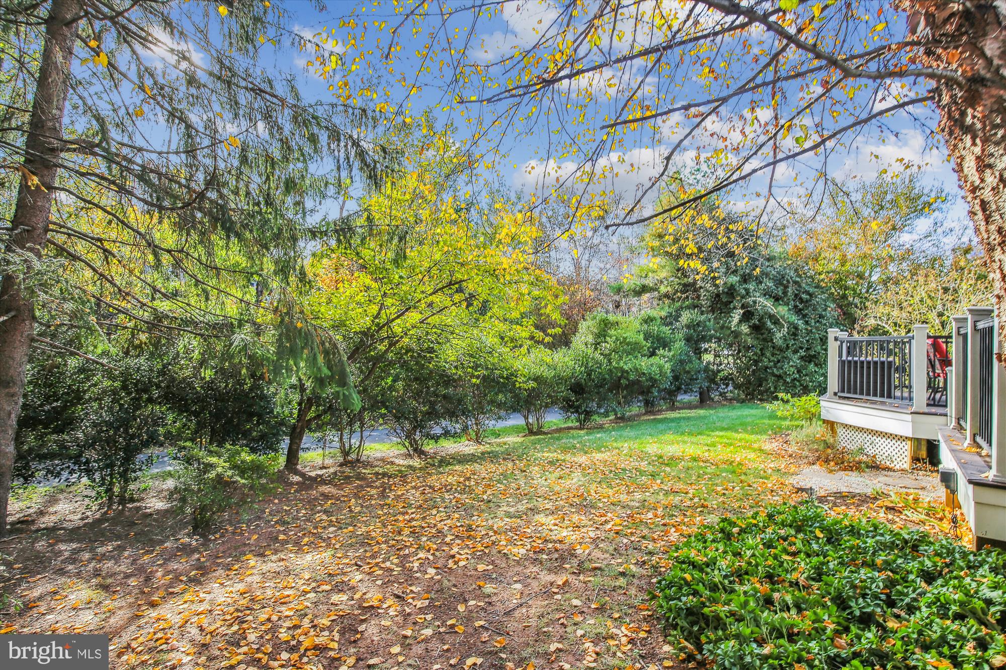 POLO FIELDS - Residential