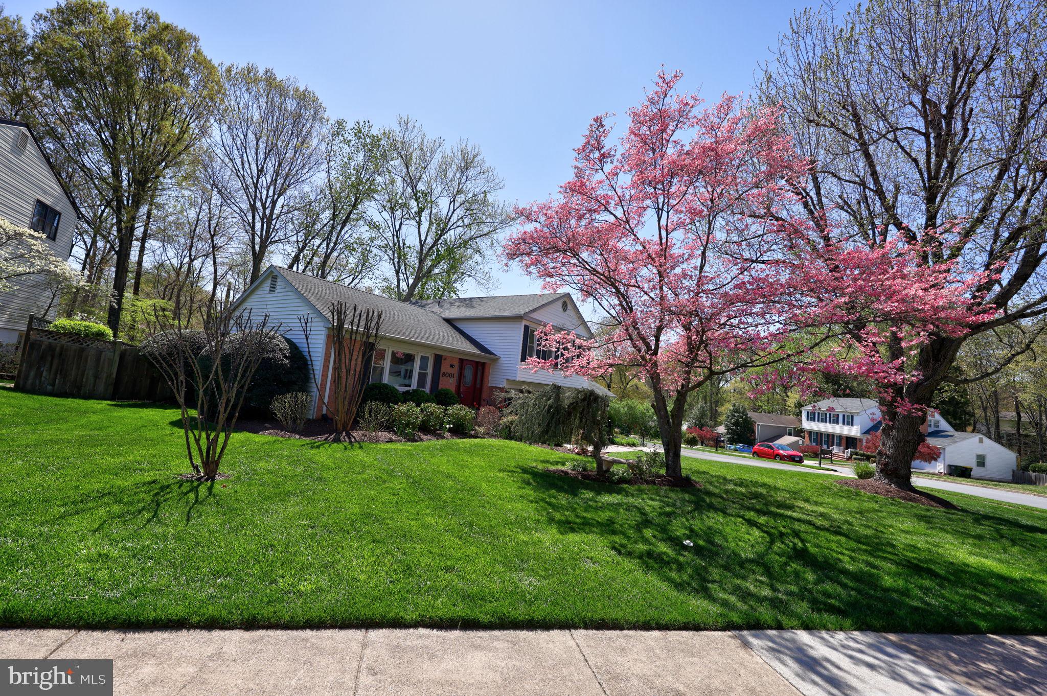 SARATOGA - Residential