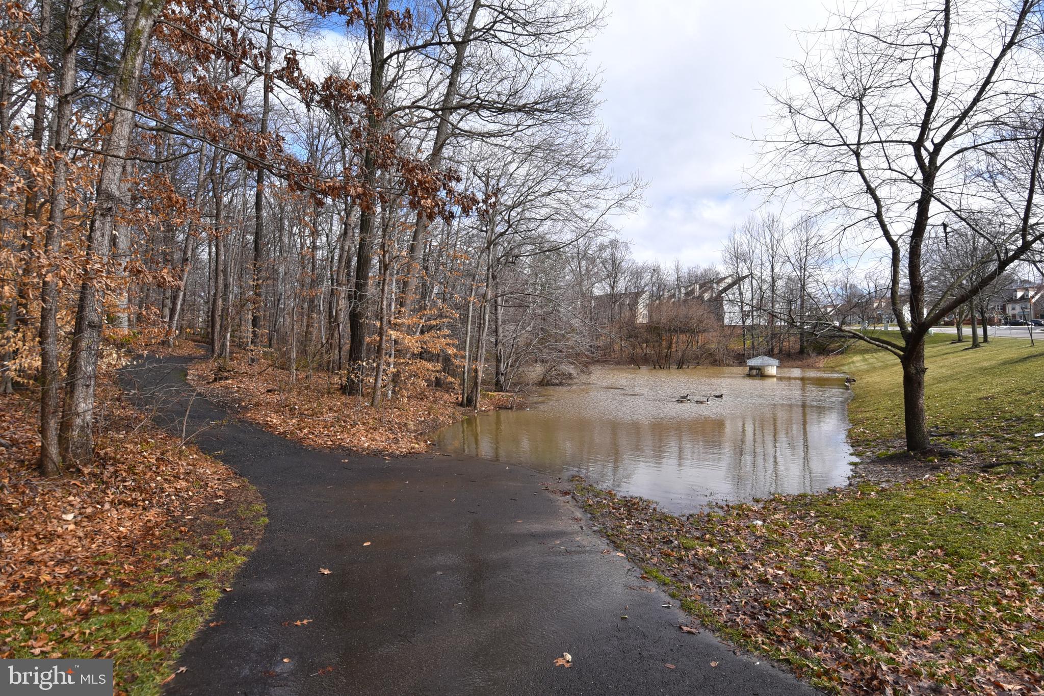 KINGSTOWNE - Residential