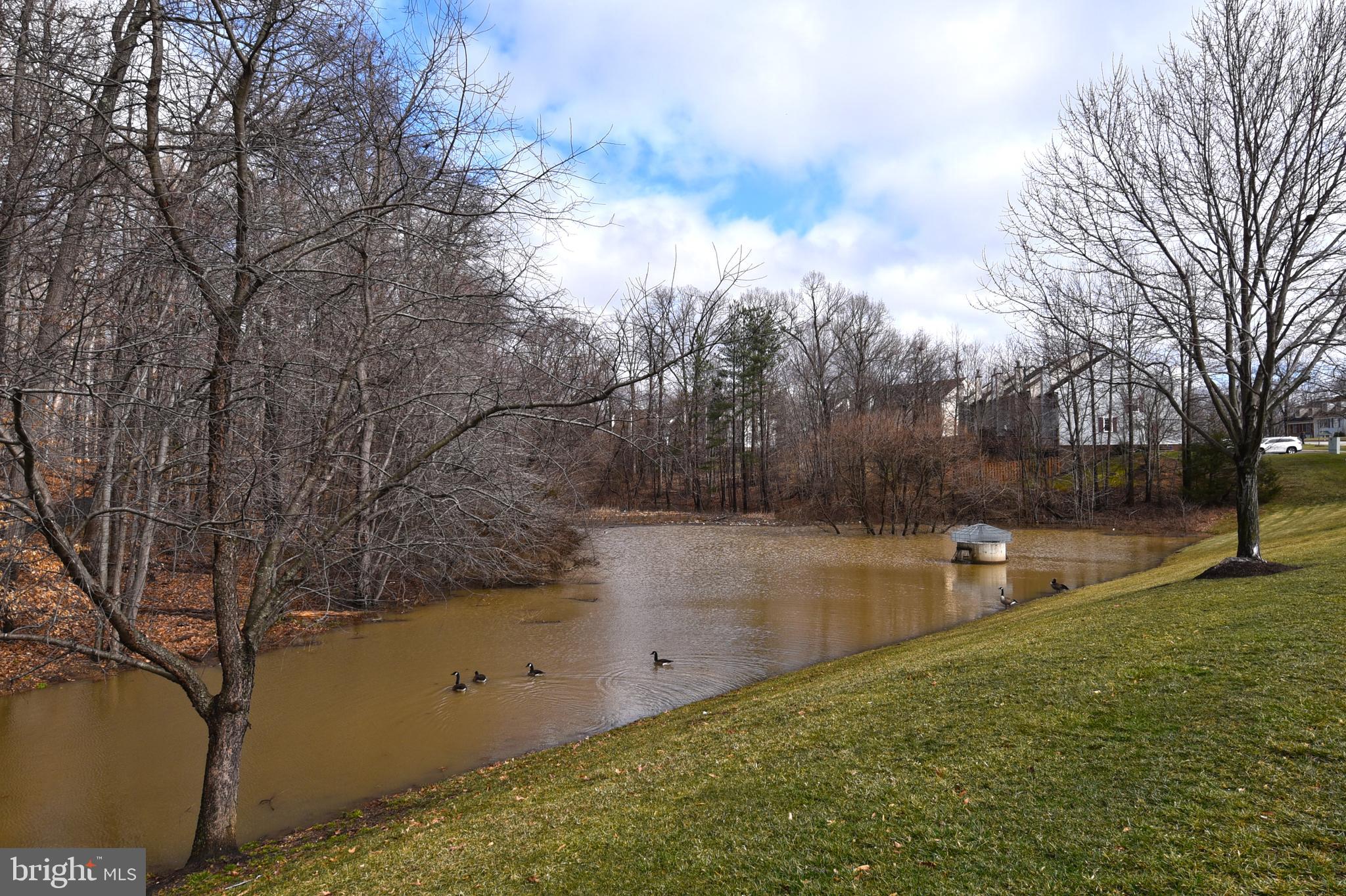 KINGSTOWNE - Residential