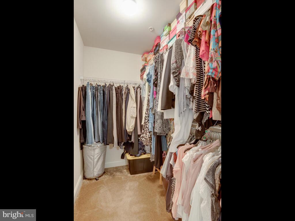 THE ENCLAVE AT ARUNDEL PRESERVE - Residential