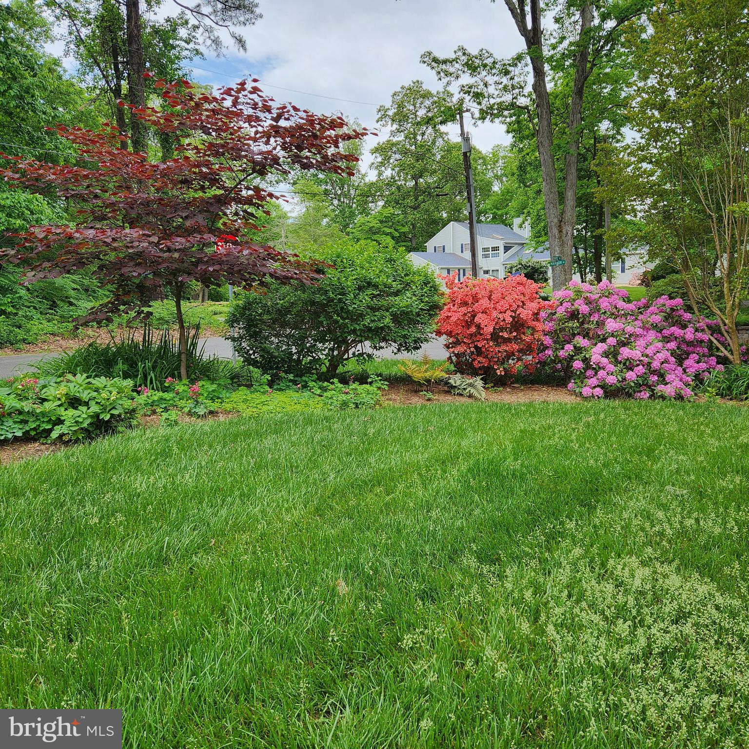 DRUM POINT - Residential