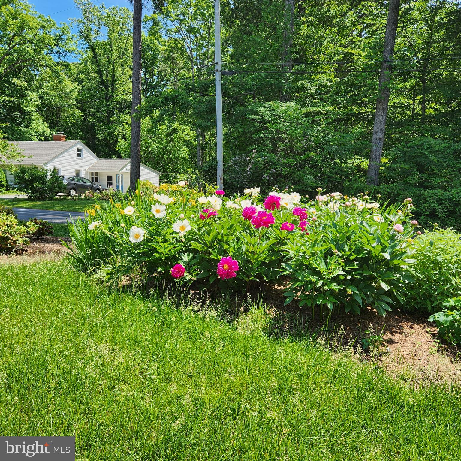 DRUM POINT - Residential