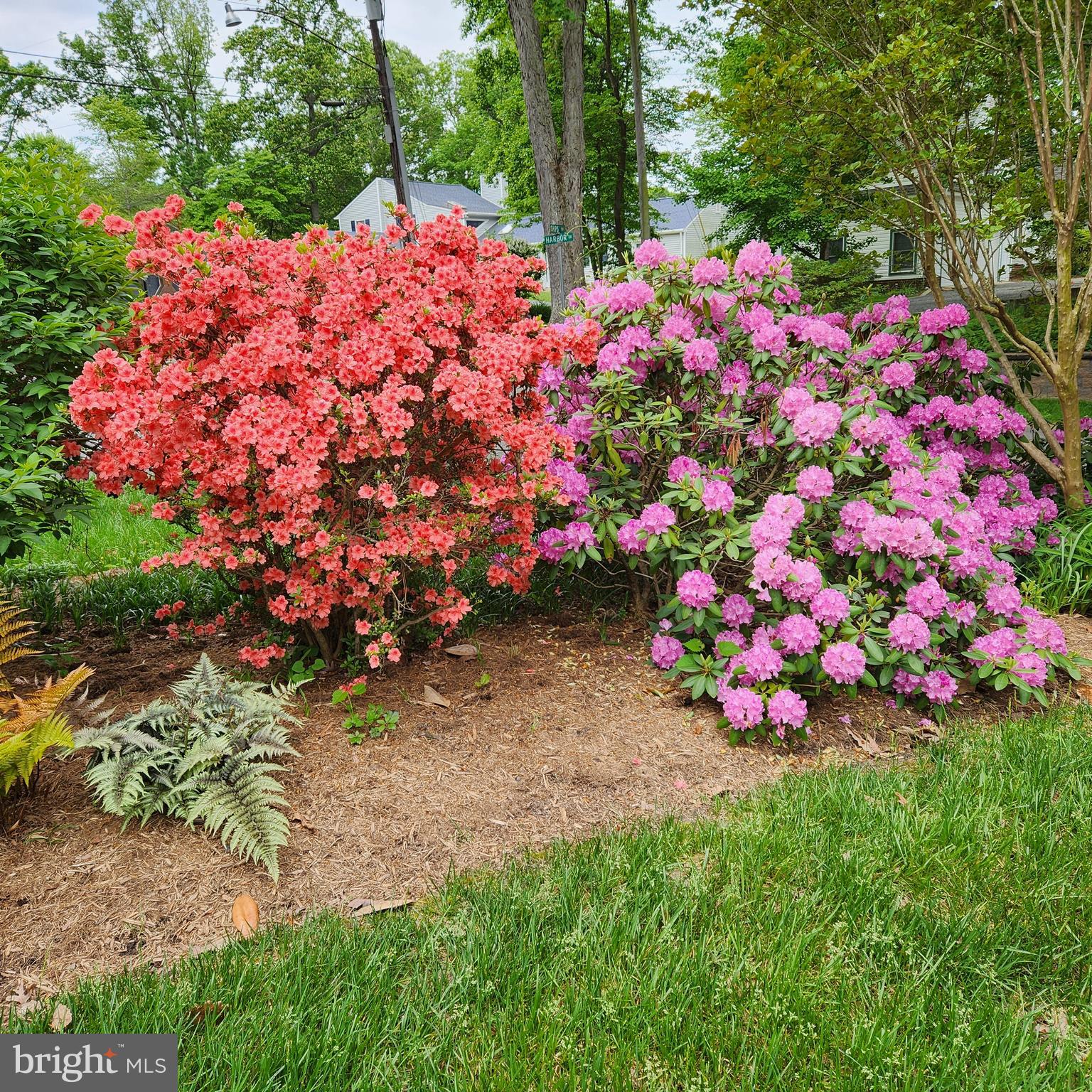 DRUM POINT - Residential