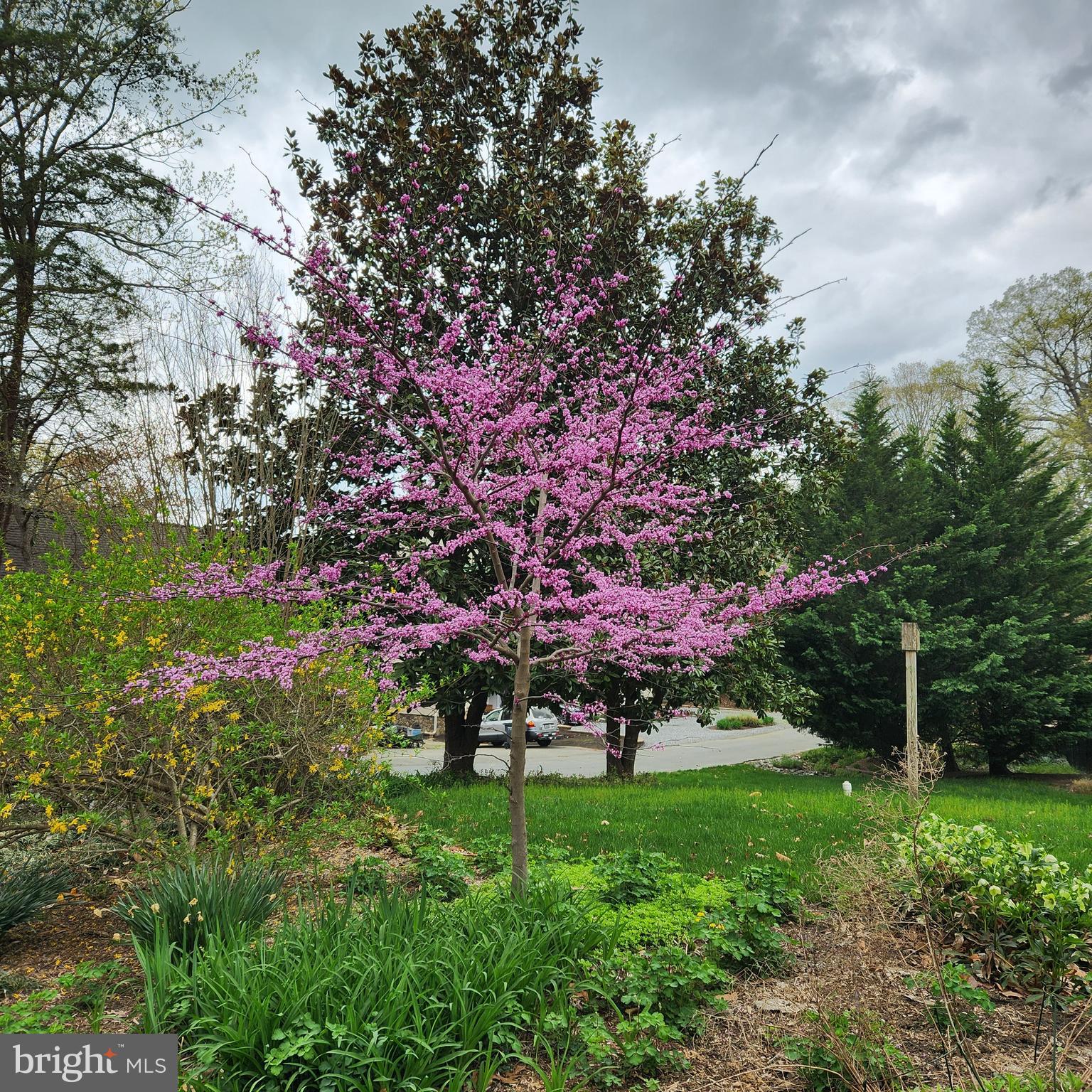 DRUM POINT - Residential