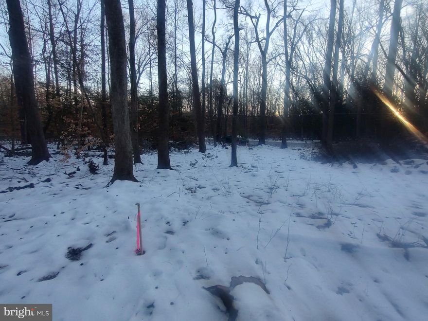 Motivated Seller, Bring all offers! Cash Only, As-Is. Vacant parcel of raw land back on the market after positive soil test. (Requested by interested buyers) Approved to build 550 sqft base. Prefer quick close.

Discover the perfect canvas for your dream home in the sought-after Gunston Manor community! This spacious lot offers a prime location with no HOA and is just minutes from the water. Some trees were removed, and the lot is staked.

City water is available along Gunston Road. Enjoy the convenience of nearby amenities, including Mason Neck State Park, Pohick Bay Regional Park, Fort Belvoir, shopping centers, and top-rated schools. Commuting is a breeze with easy access to major routes.

With paved road frontage and a serene setting, this property presents a rare opportunity to own land in this desirable area. Don’t miss out on this excellent location to own land!