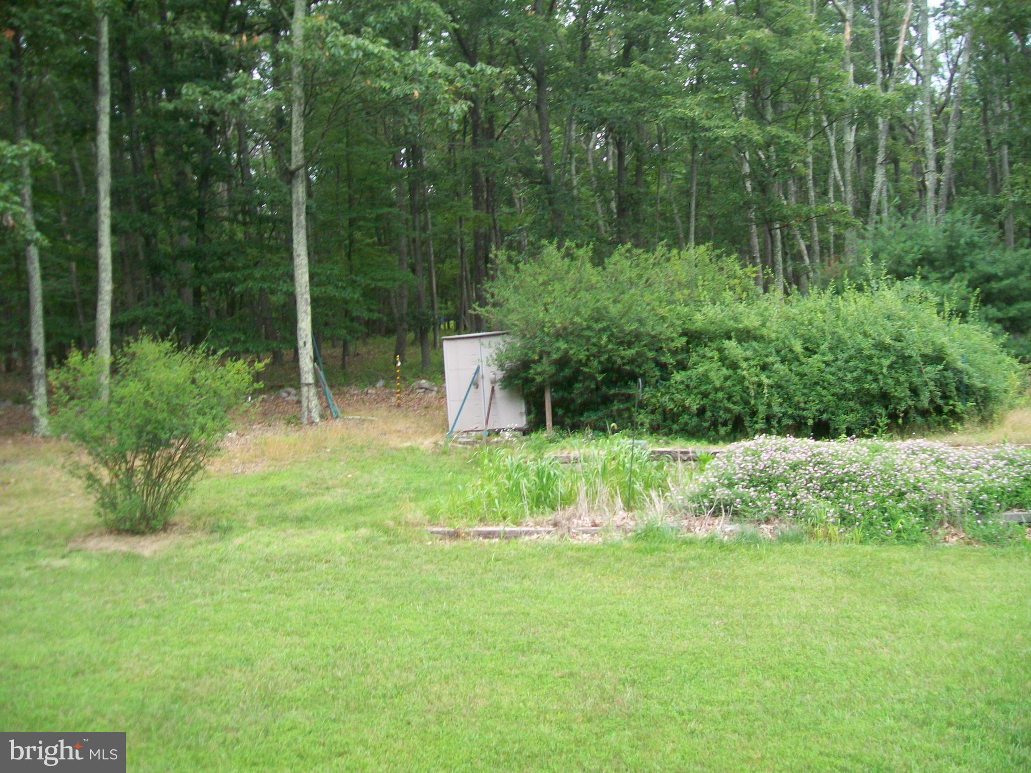 CABIN AT CAPON BRIDGE - Residential