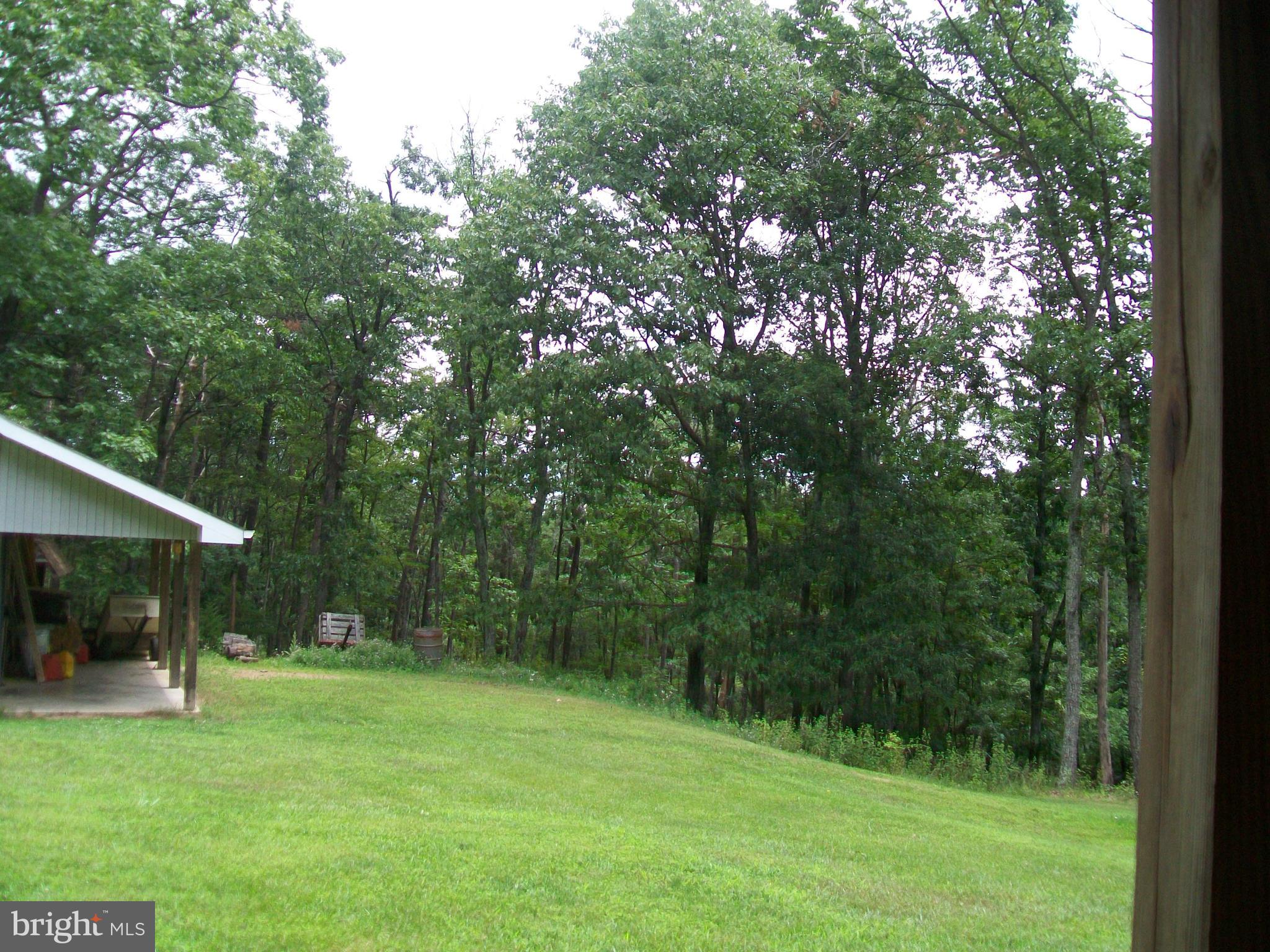 CABIN AT CAPON BRIDGE - Residential