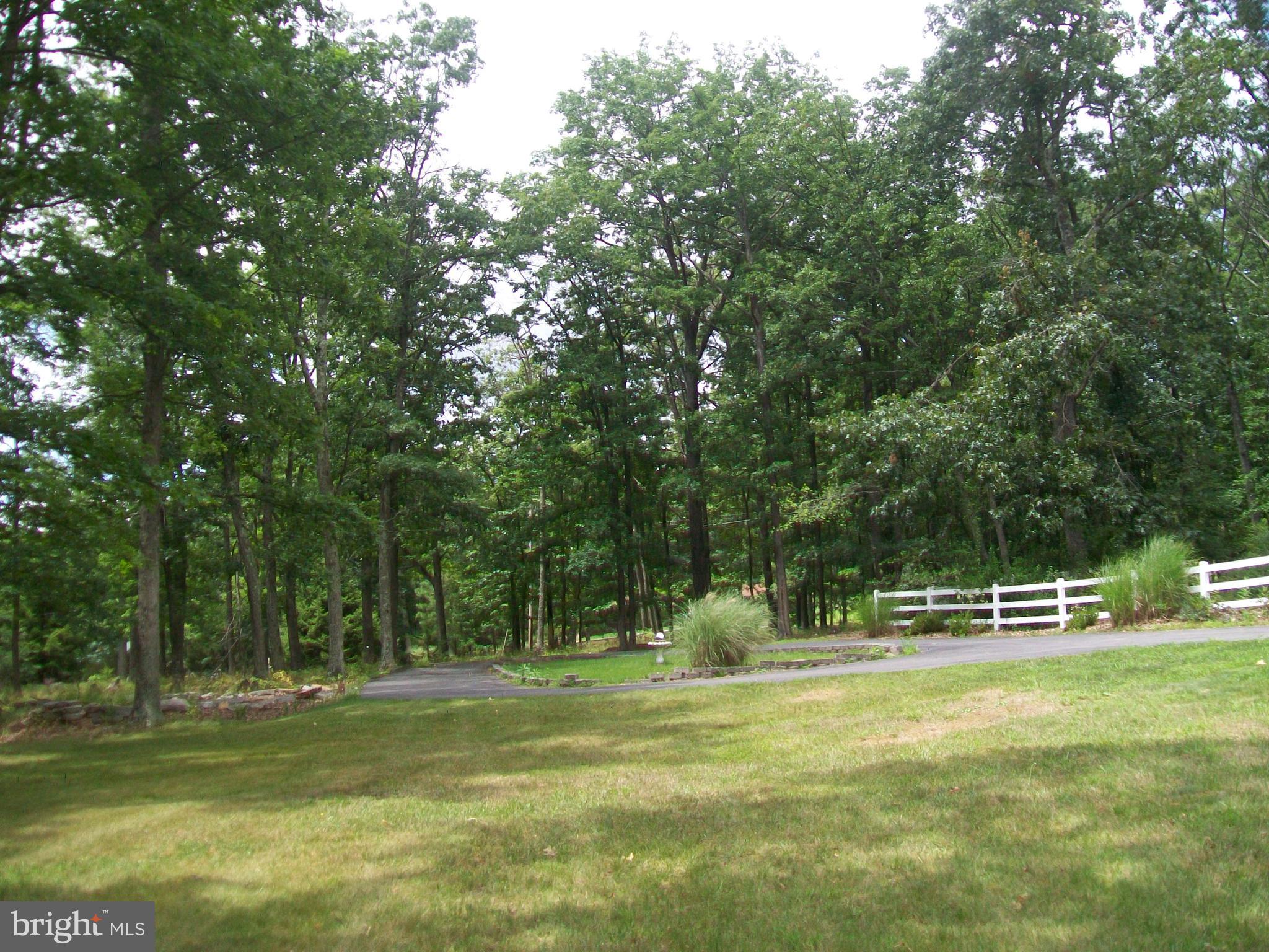 CABIN AT CAPON BRIDGE - Residential