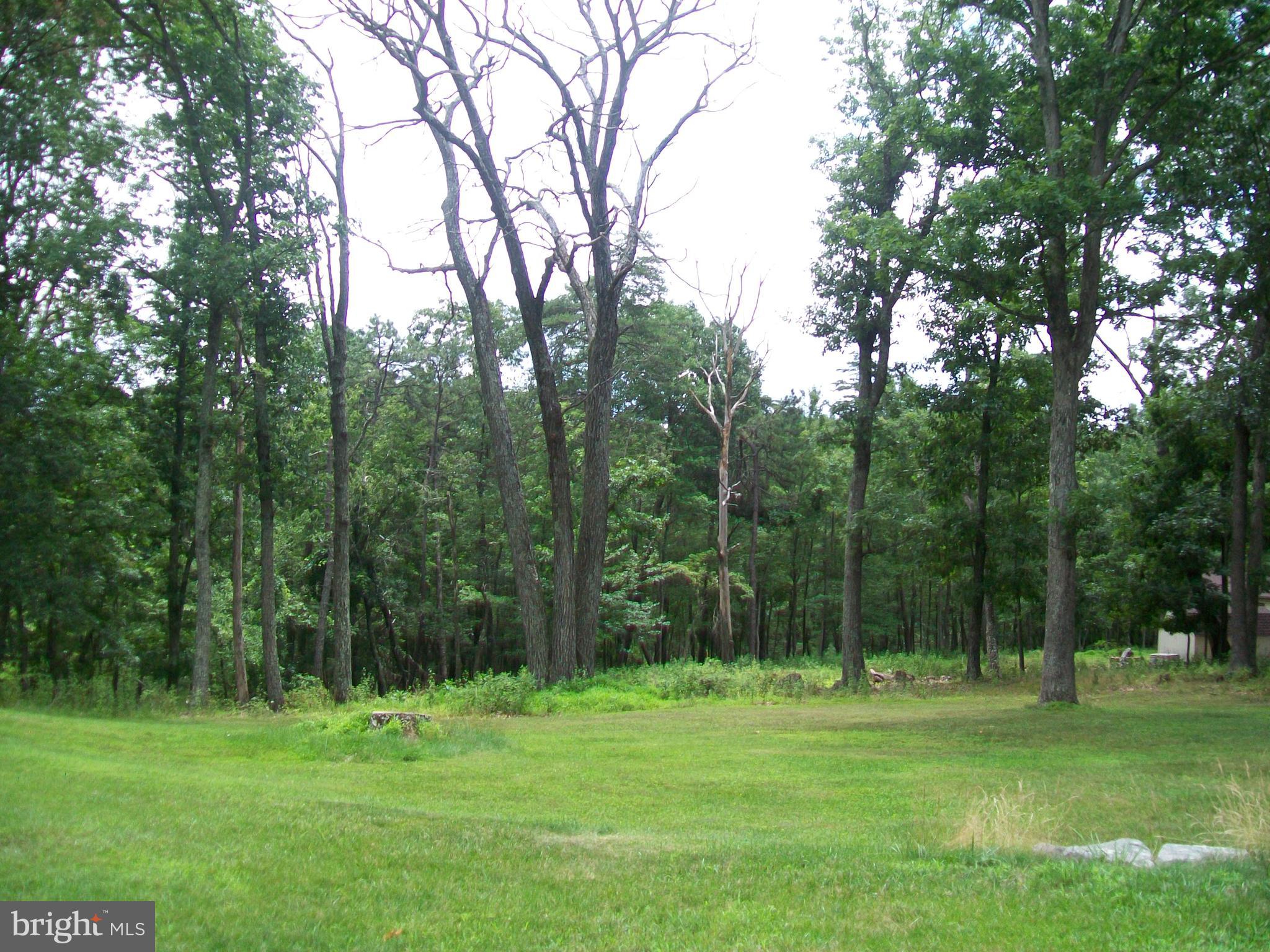 CABIN AT CAPON BRIDGE - Residential
