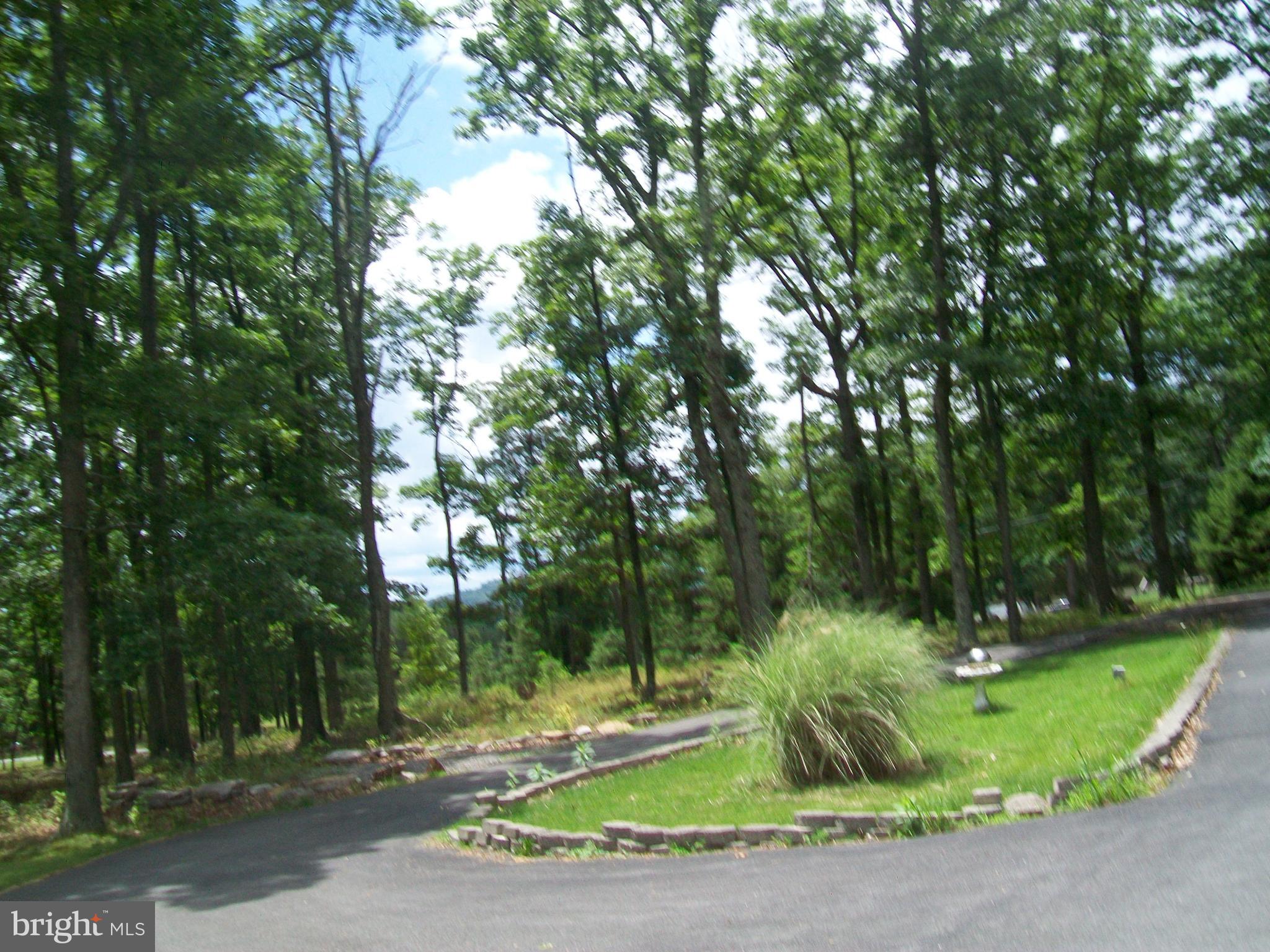 CABIN AT CAPON BRIDGE - Residential
