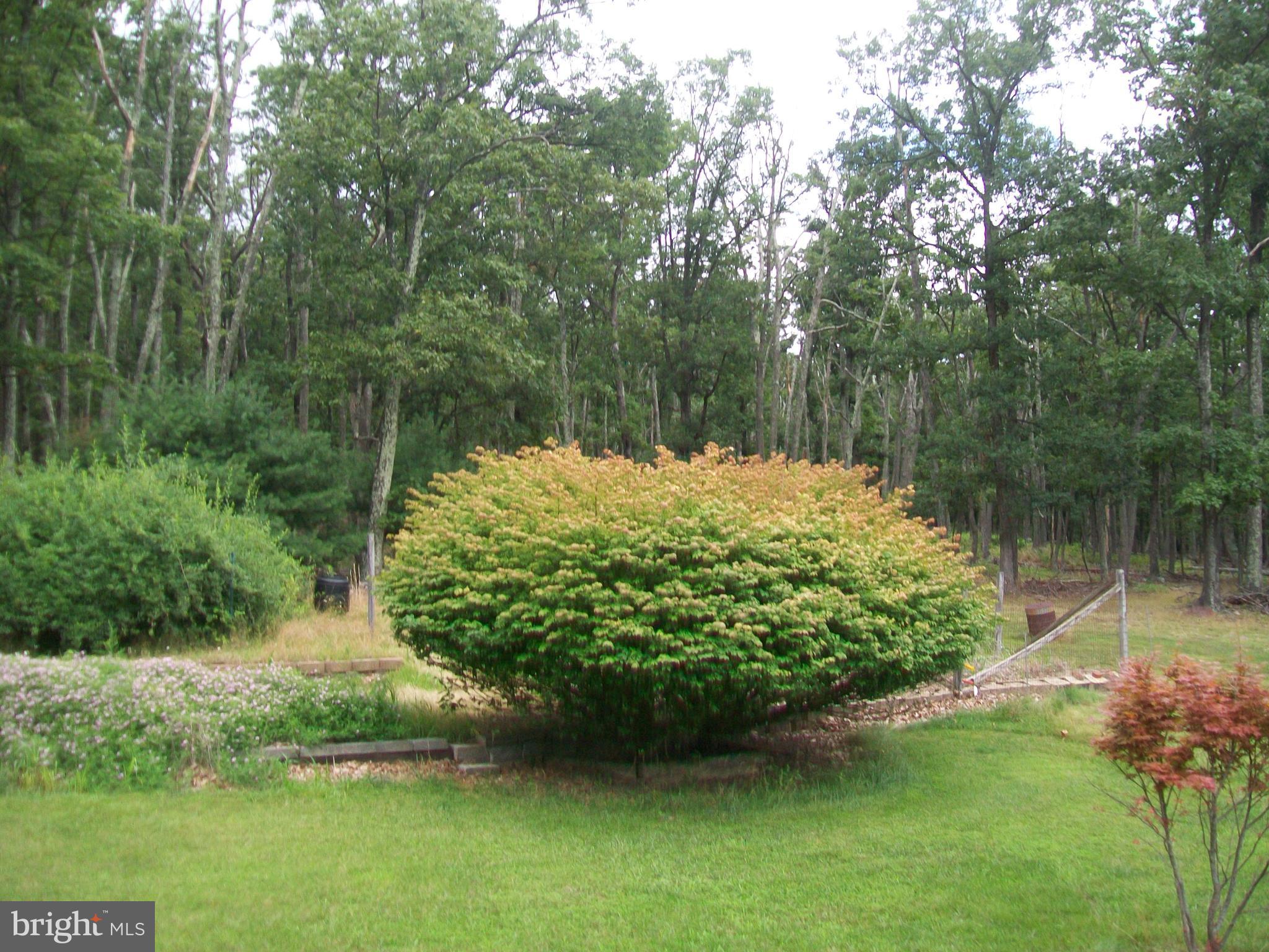CABIN AT CAPON BRIDGE - Residential