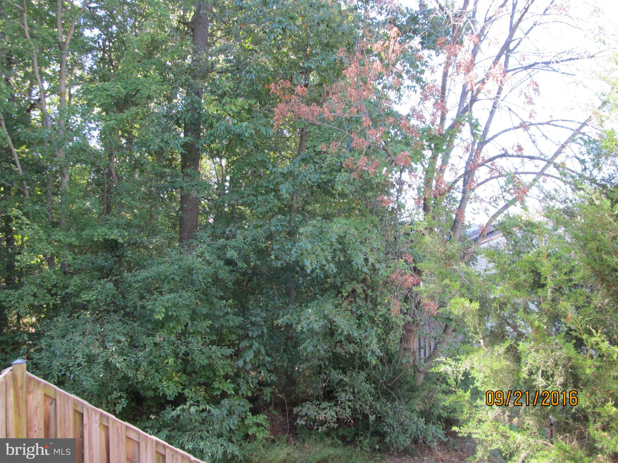 NEWBERRY - Residential