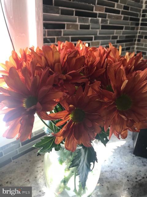 YEADON - Residential