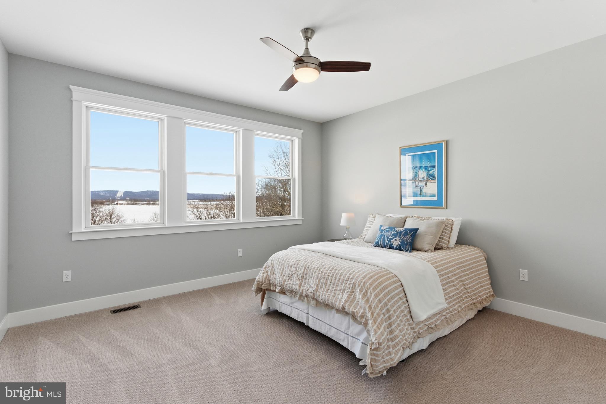 ESTATES AT POTOMAC FARMS - Residential