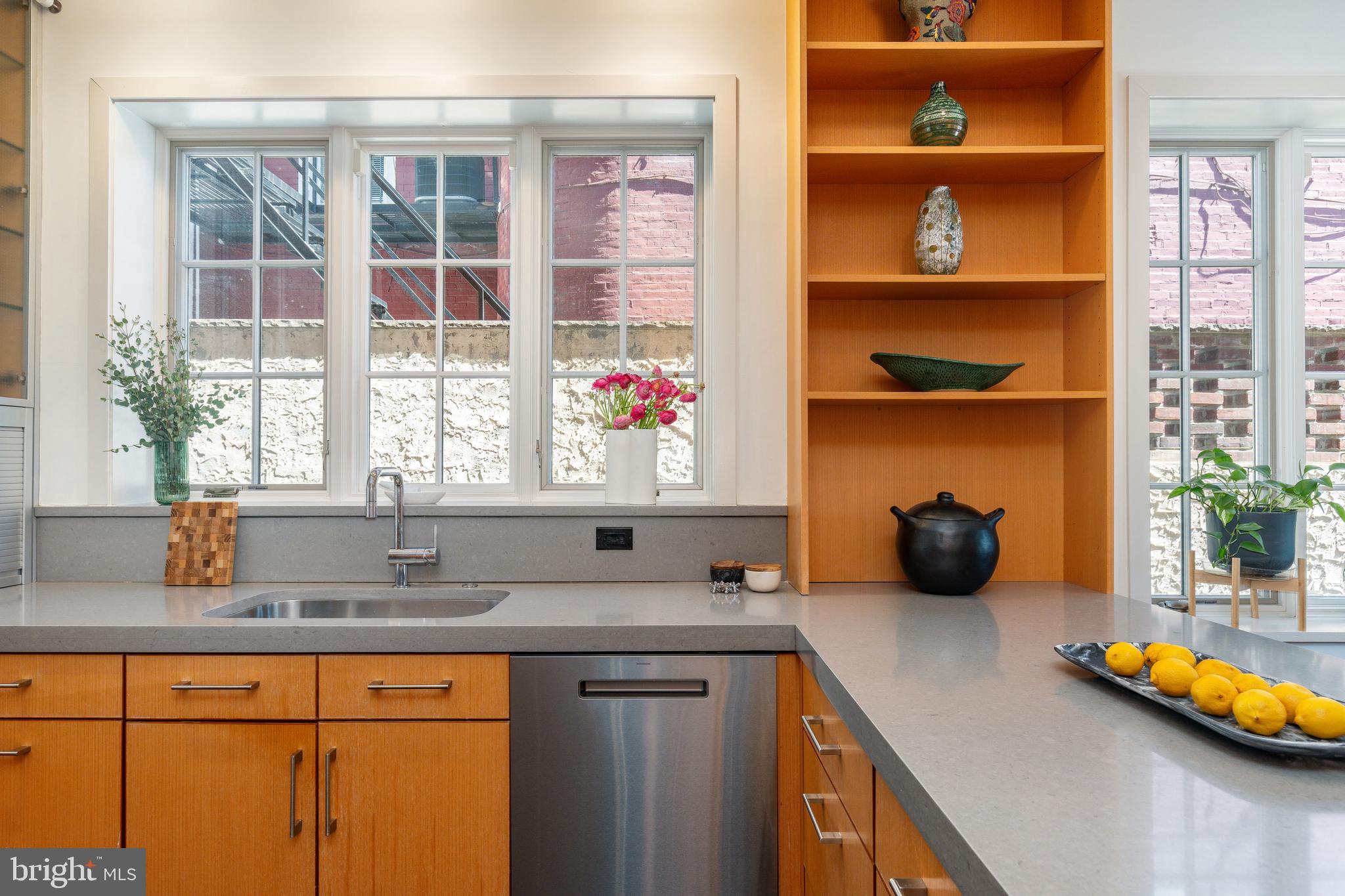 SOCIETY HILL - Residential