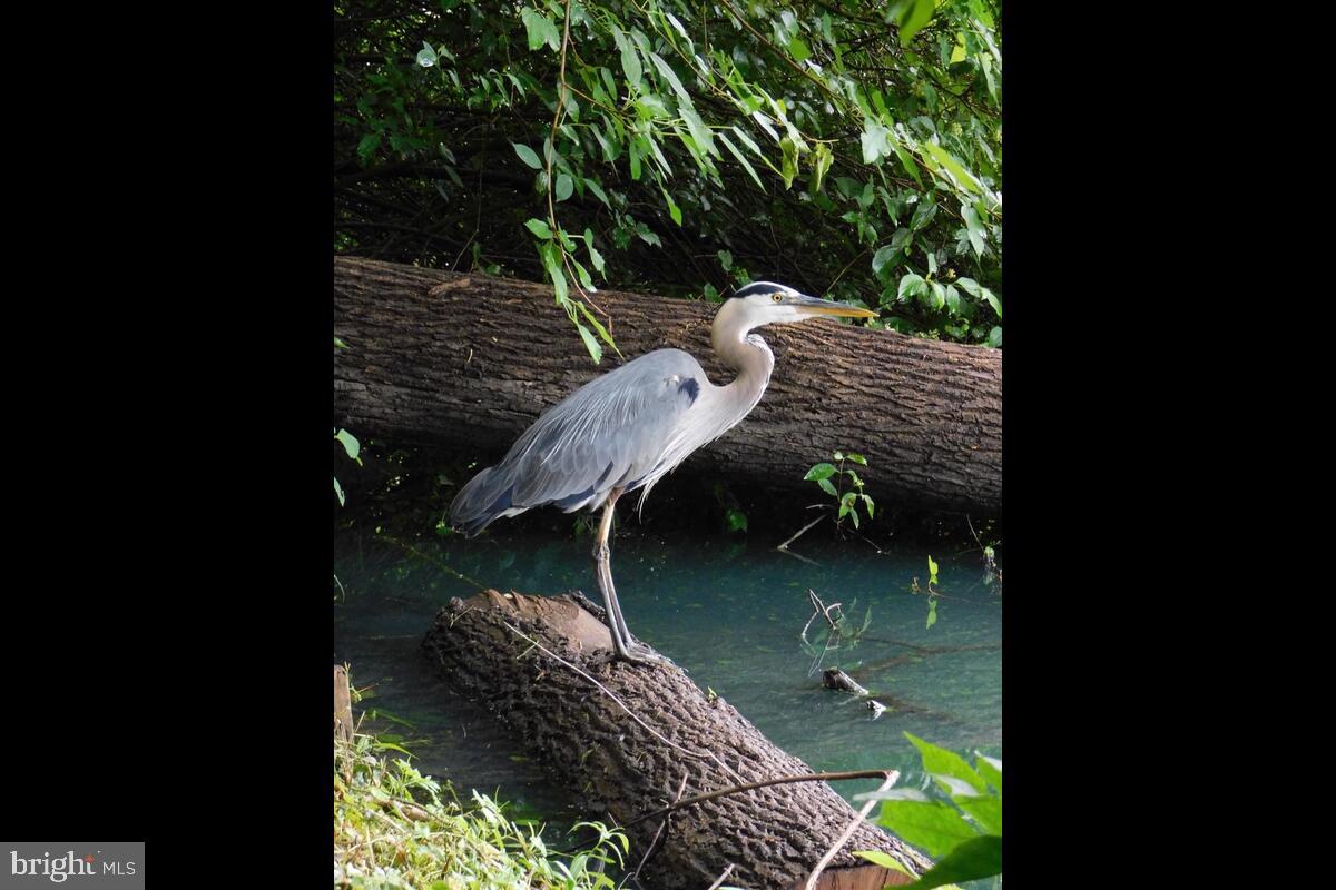 BYWATER ESTATES - Residential