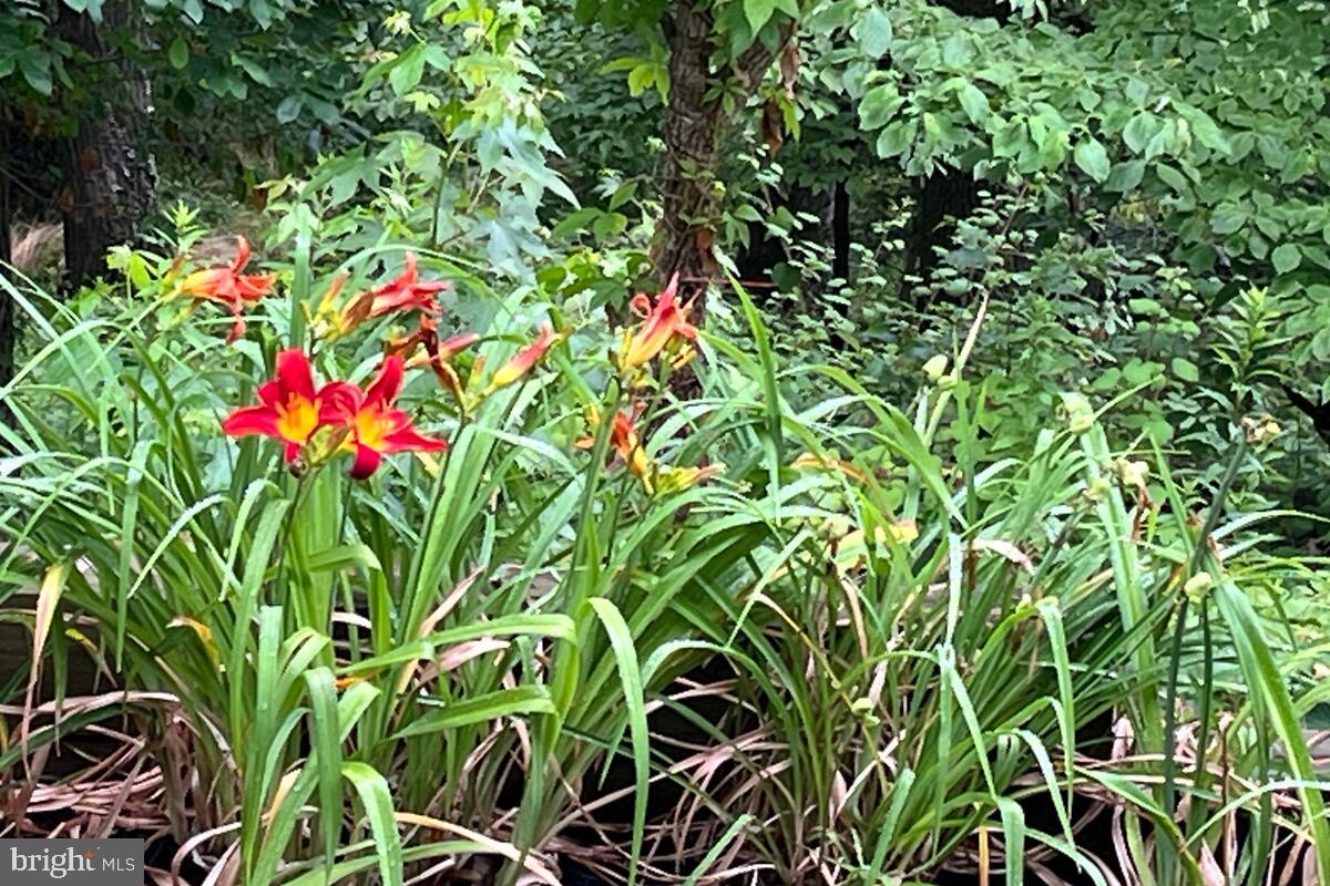 BYWATER ESTATES - Residential