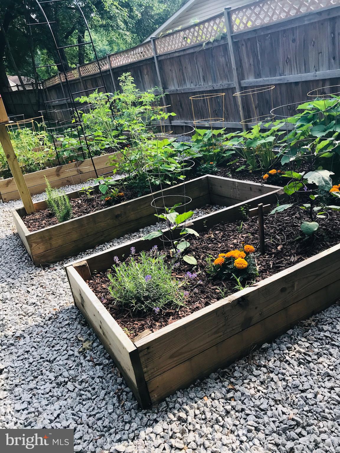 NINE OAKS - Residential