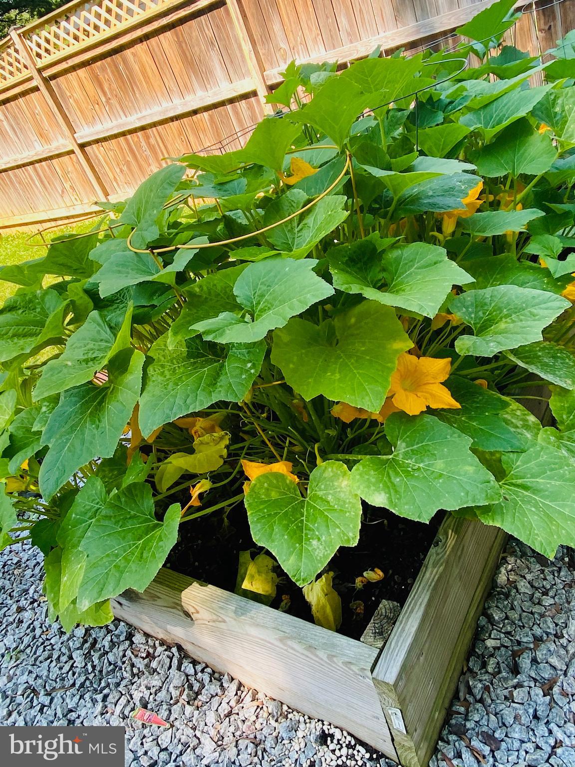 NINE OAKS - Residential