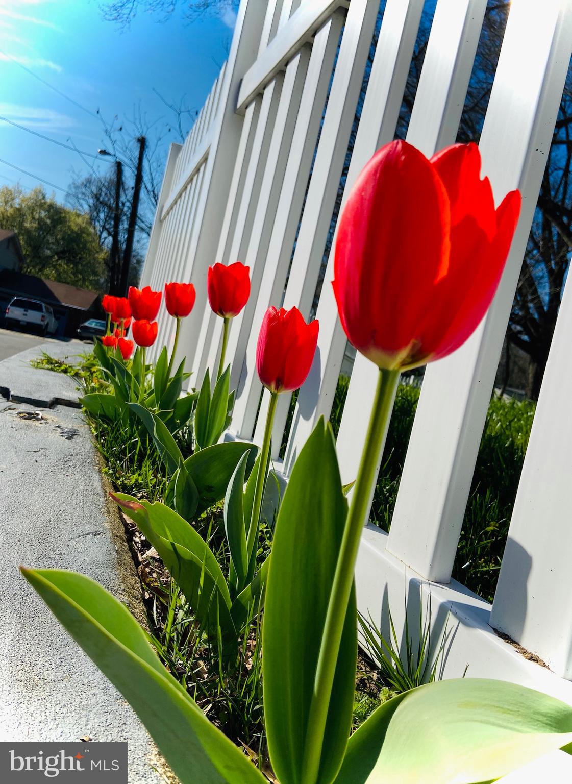 NINE OAKS - Residential