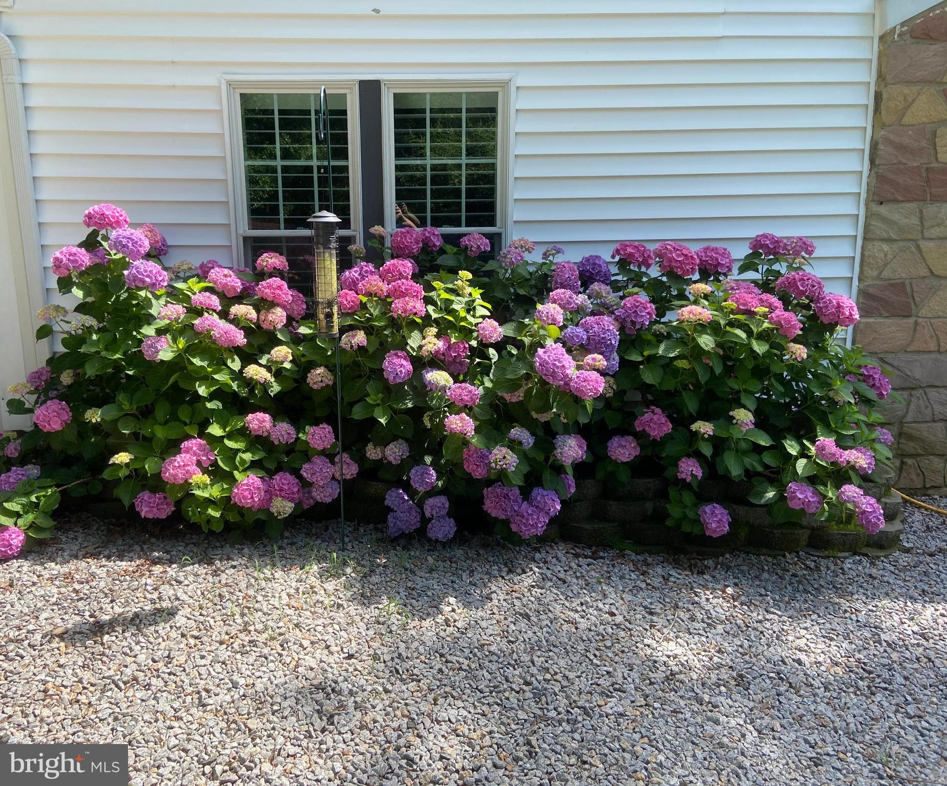 NINE OAKS - Residential