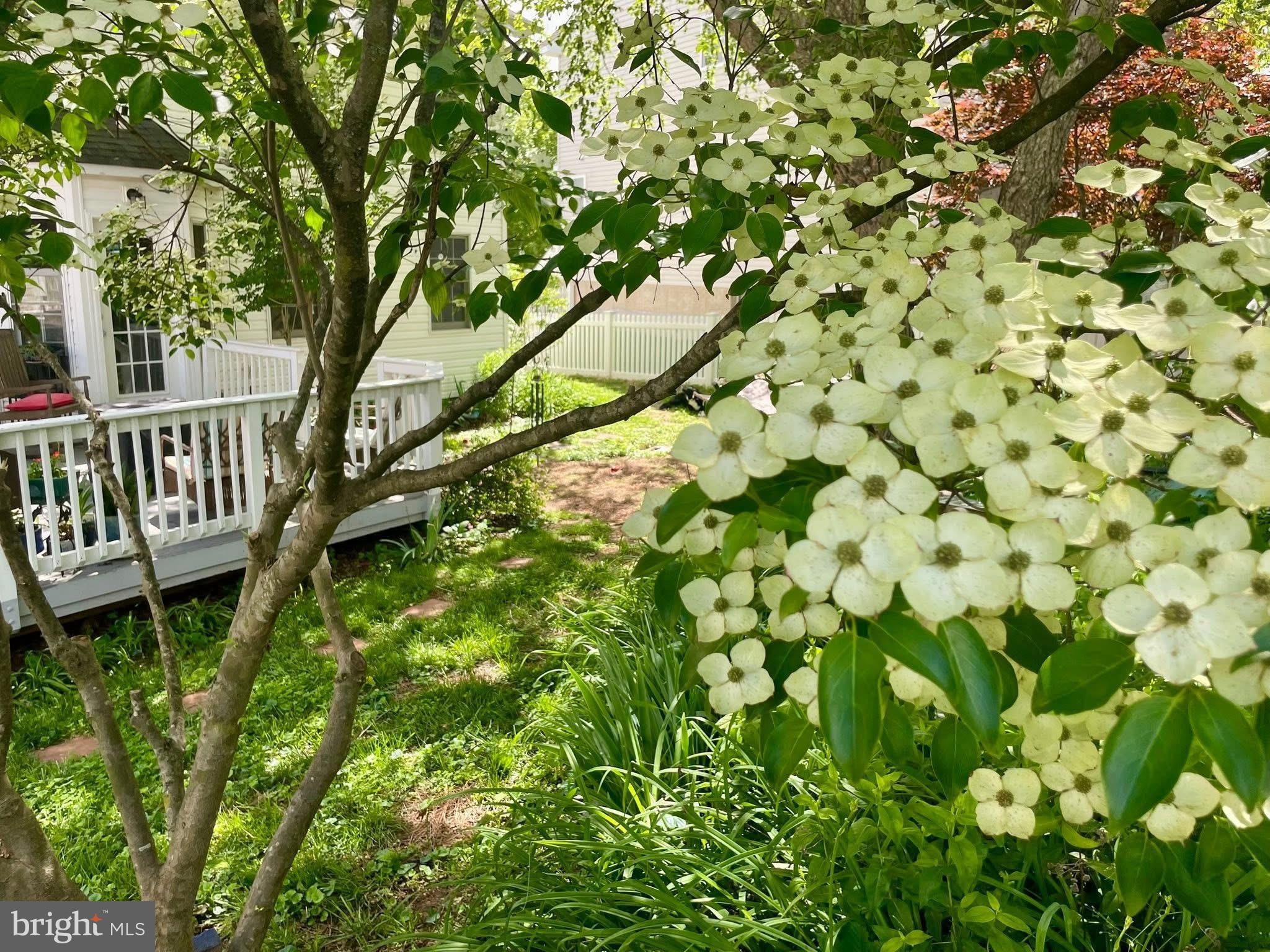 241 BREEZEWOOD DRIVE