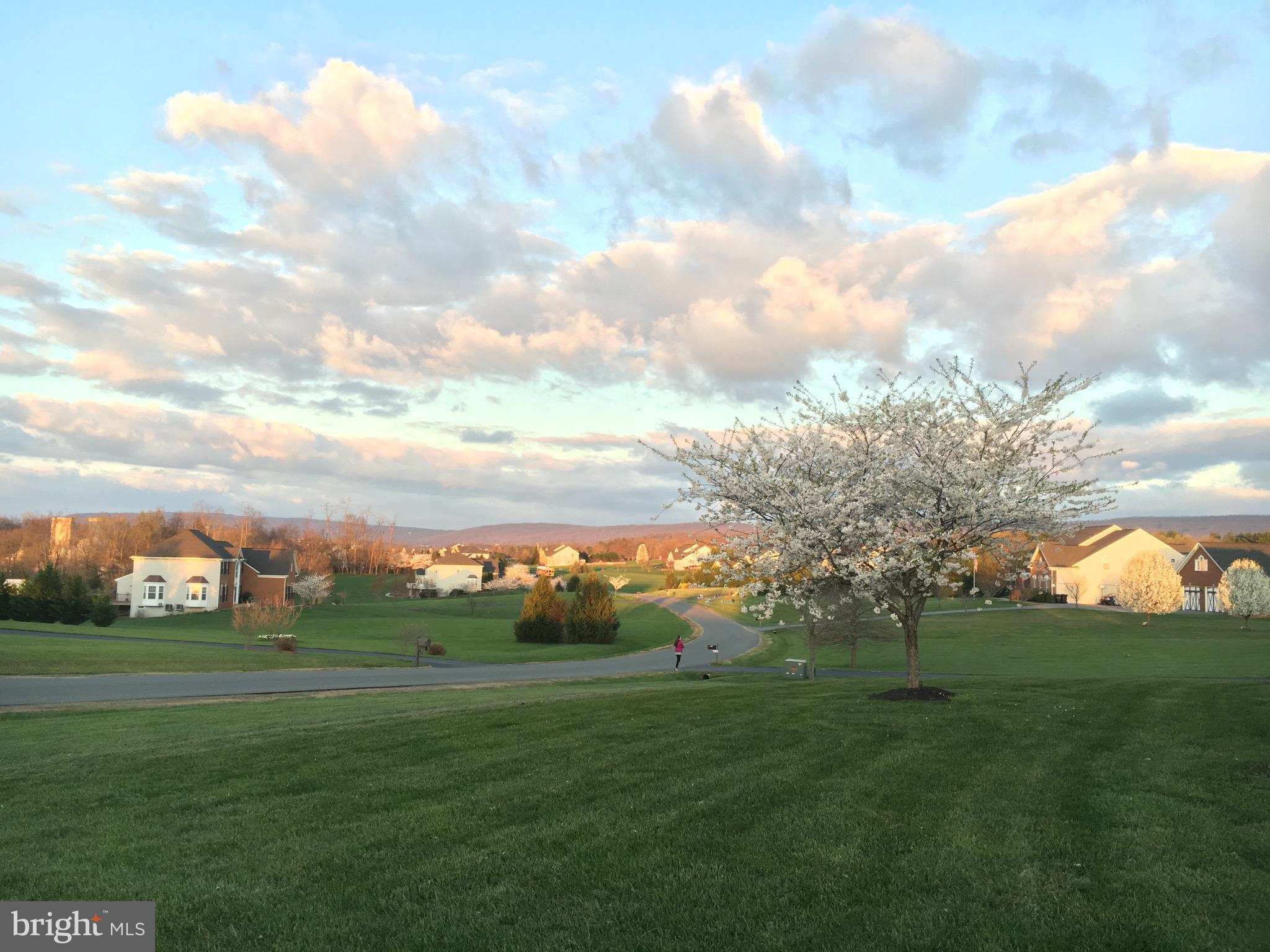 LIGHT RIDGE - Residential