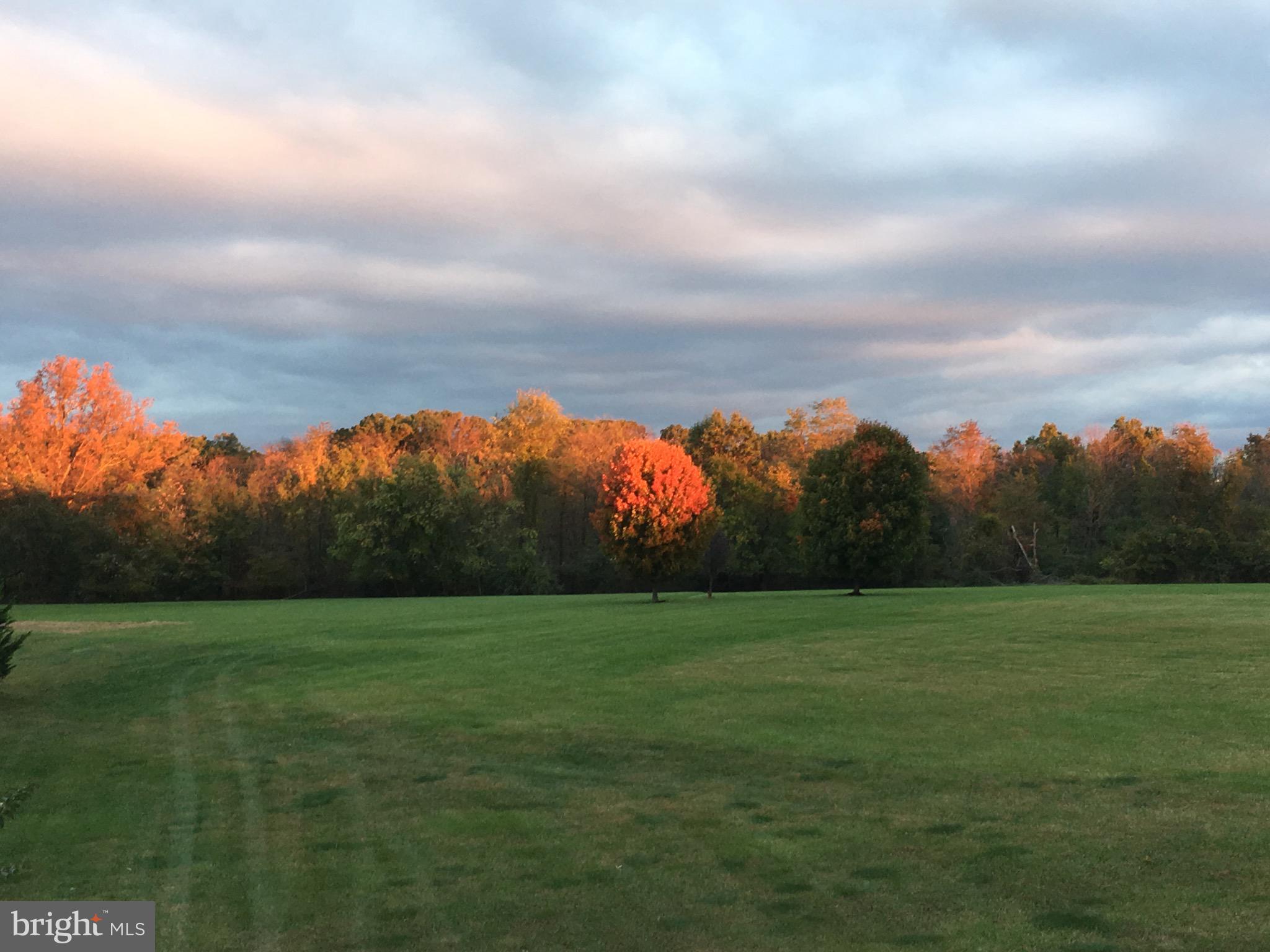 LIGHT RIDGE - Residential