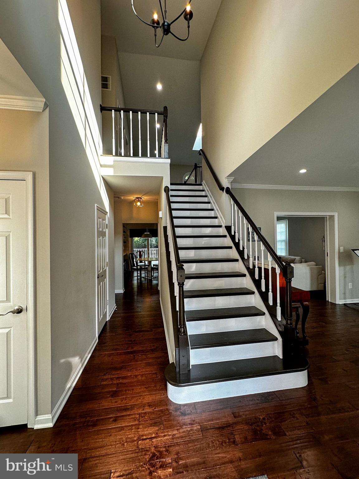 10136 BRACKEN DRIVE
