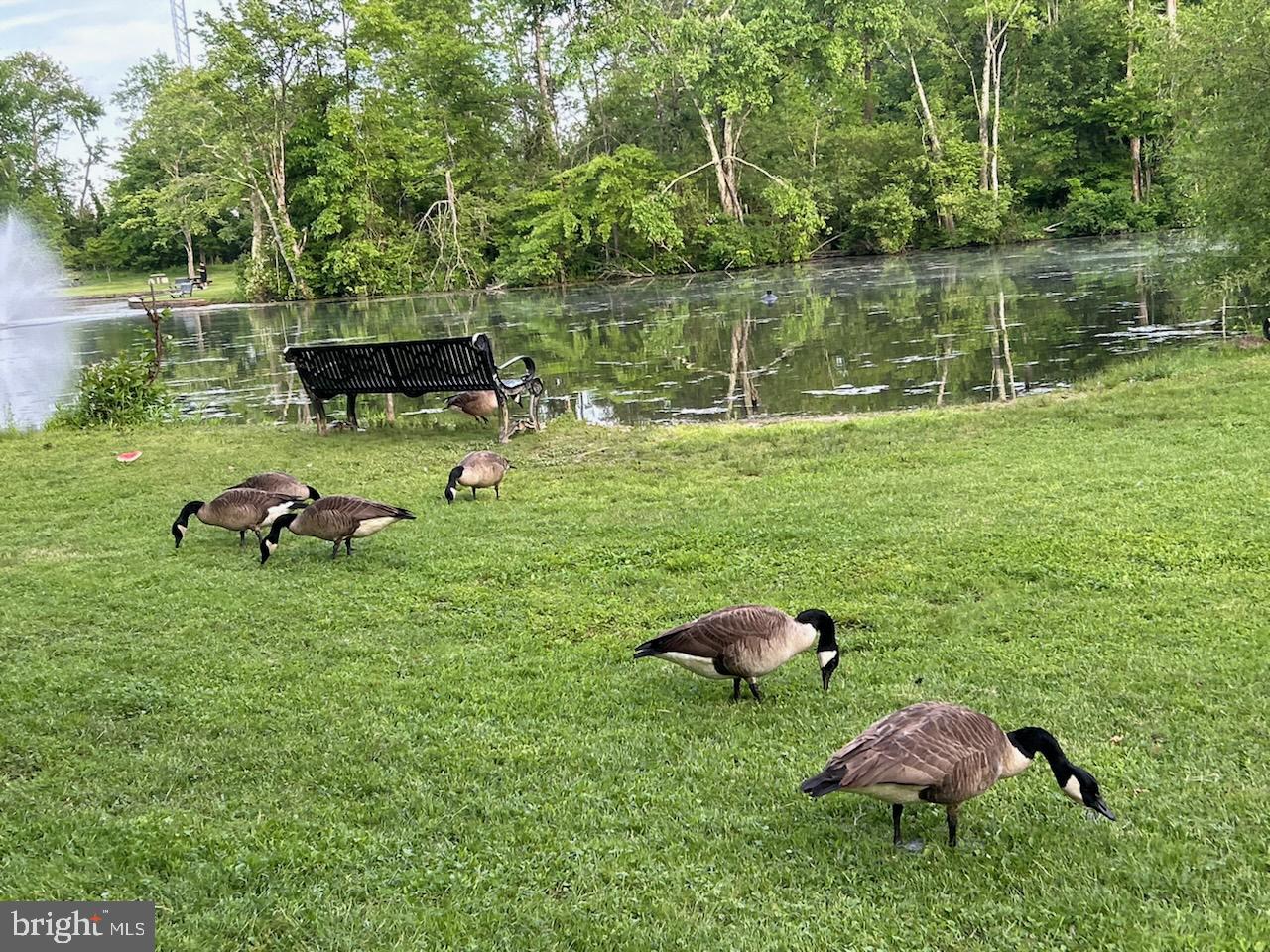 HORSHAM VALLEY ESTAT - Residential