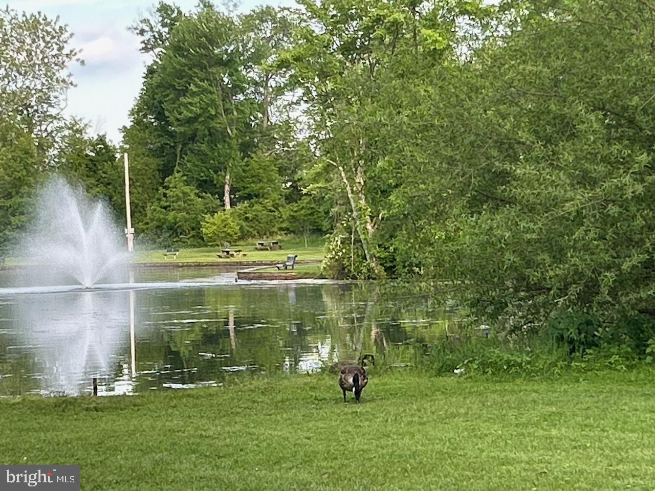 HORSHAM VALLEY ESTAT - Residential