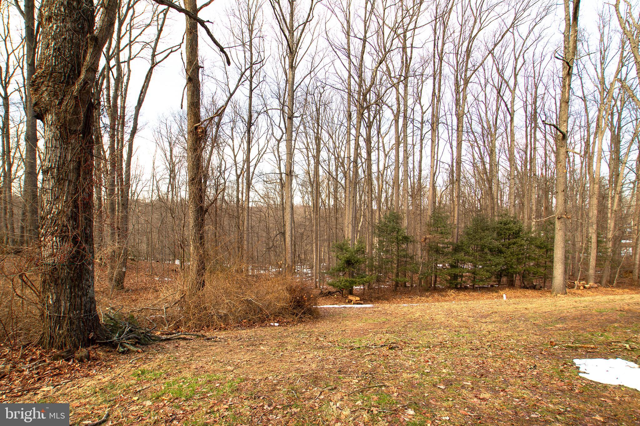 JARRETTSVILLE - Residential