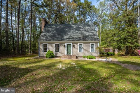 3531 TALL PINES LANE SNOW HILL MD 21863