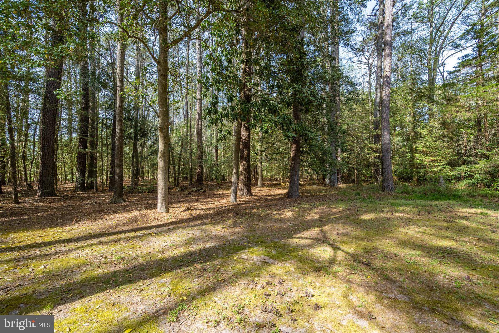 MILLVILLE ACRES - Residential