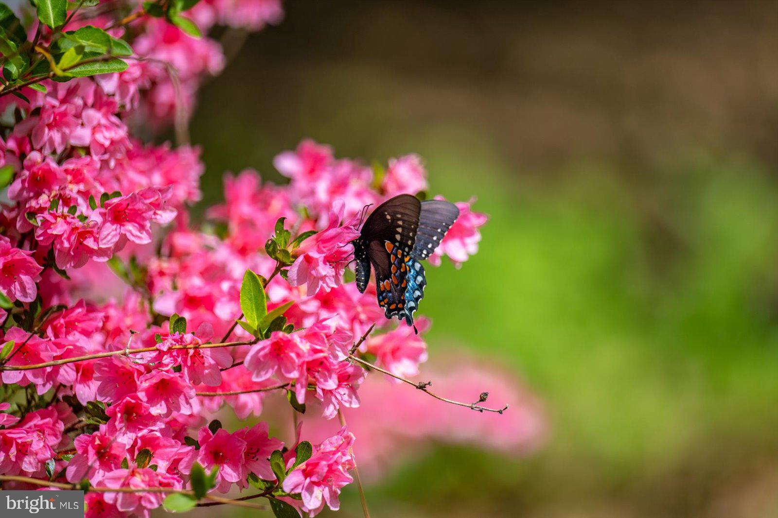 MILLVILLE ACRES - Residential