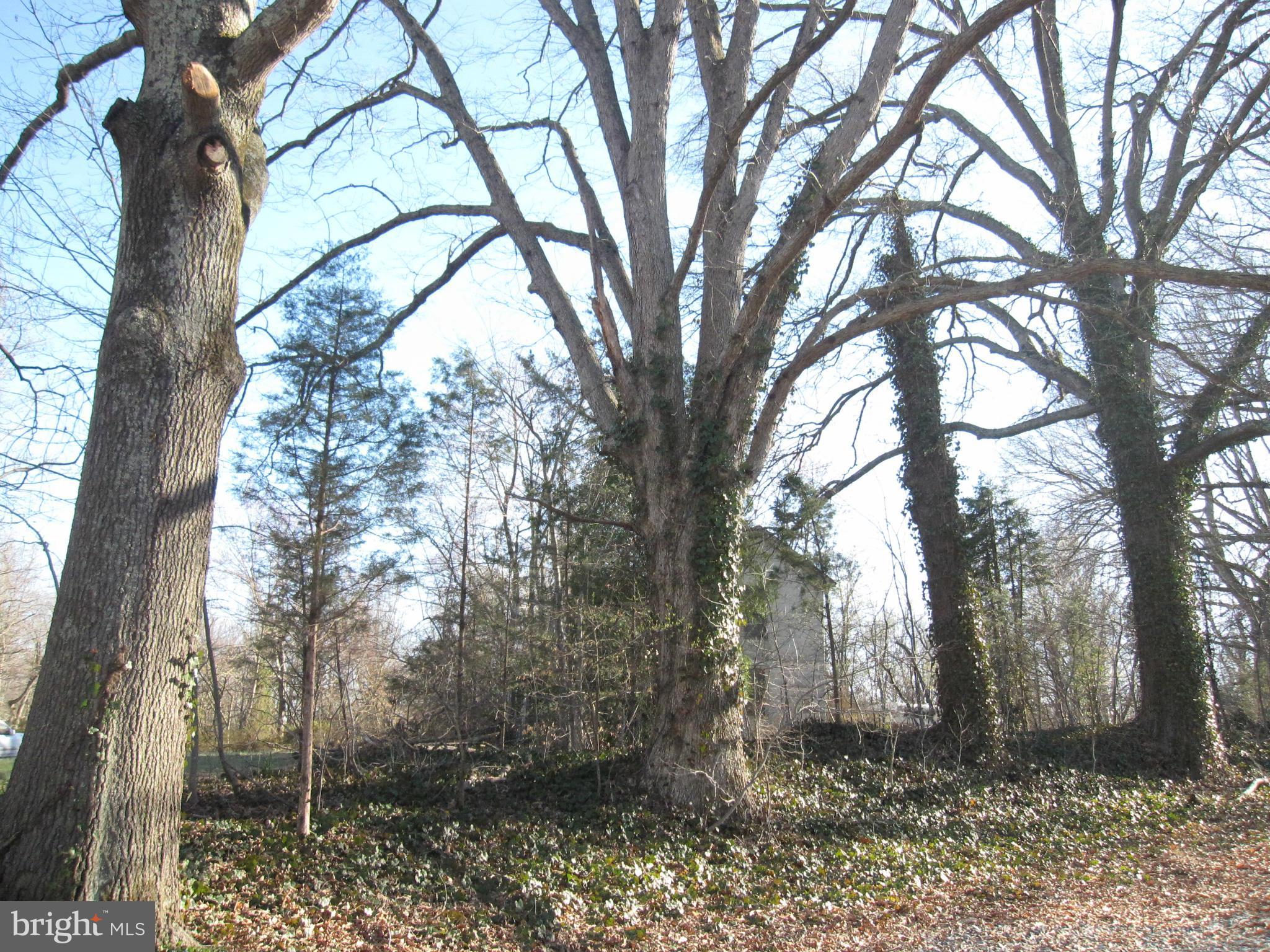 NONE AVAILABLE - Land