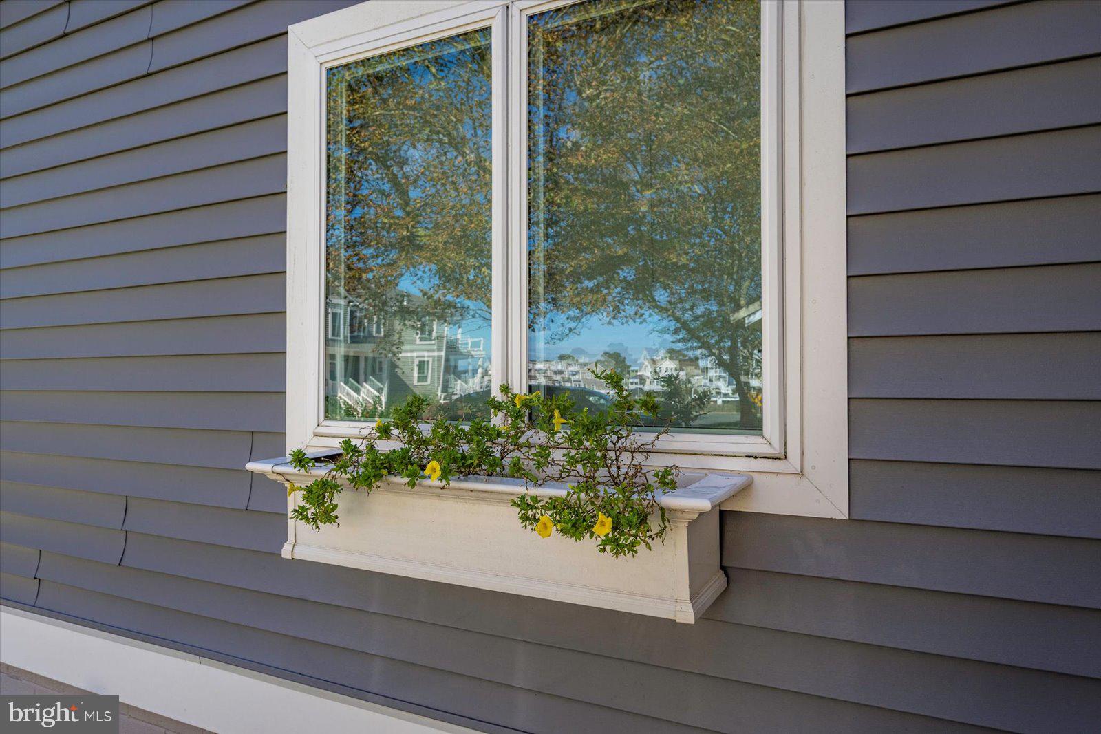 CAINE WOODS - Residential