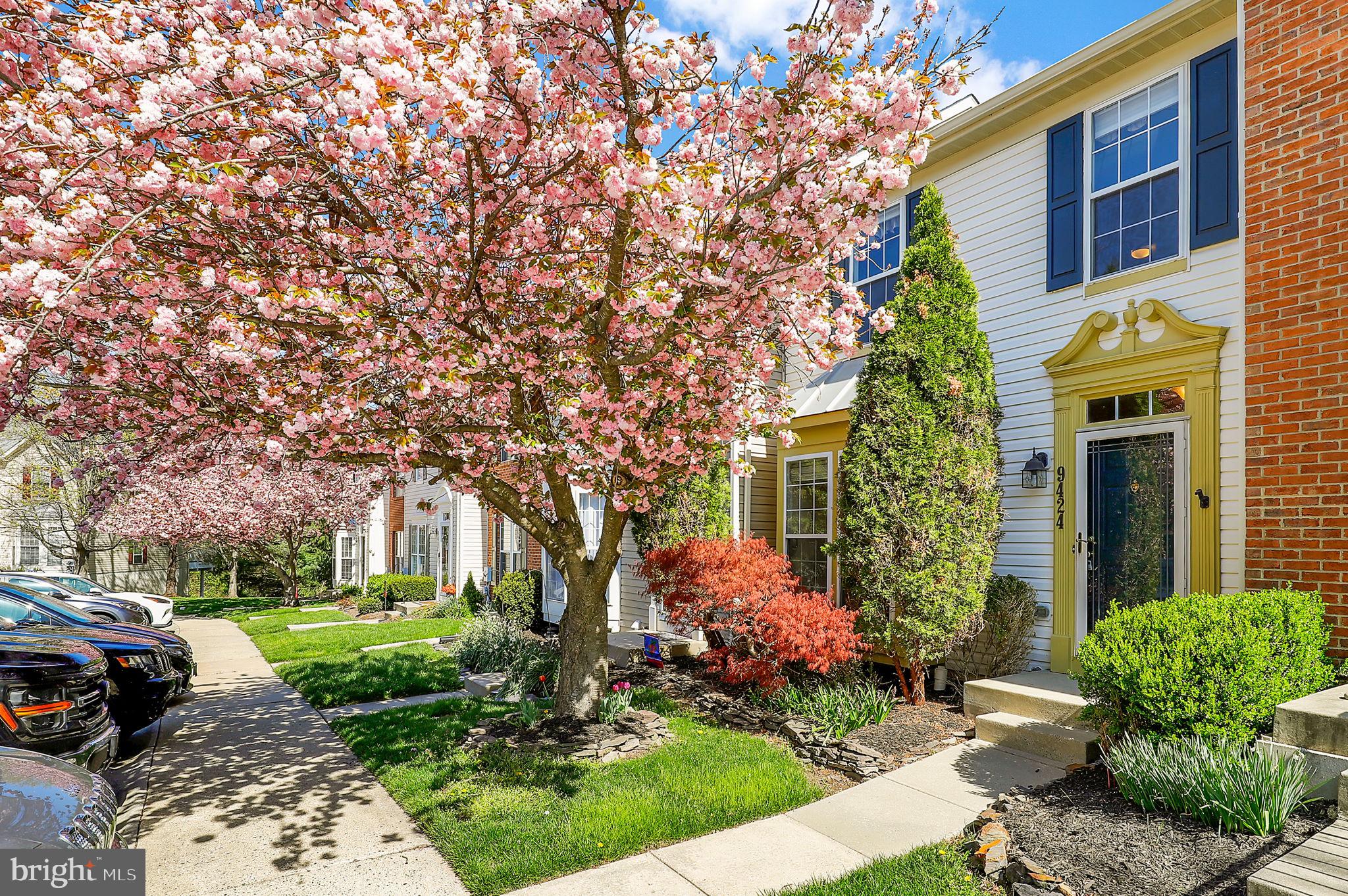 SPRING RIDGE - Residential