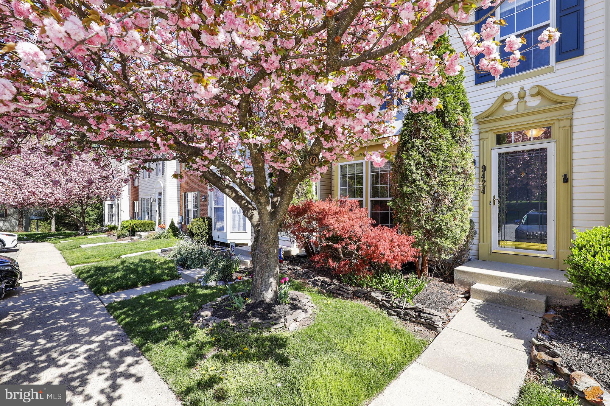 SPRING RIDGE - Residential