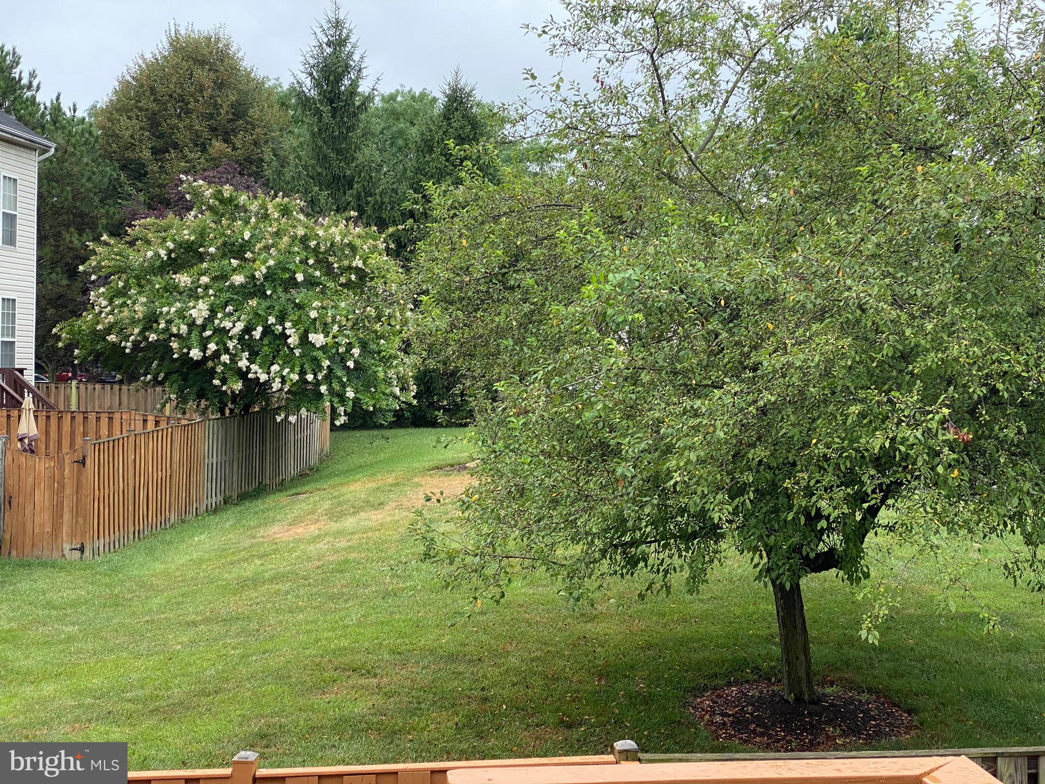 BALLENGER CROSSING - Residential