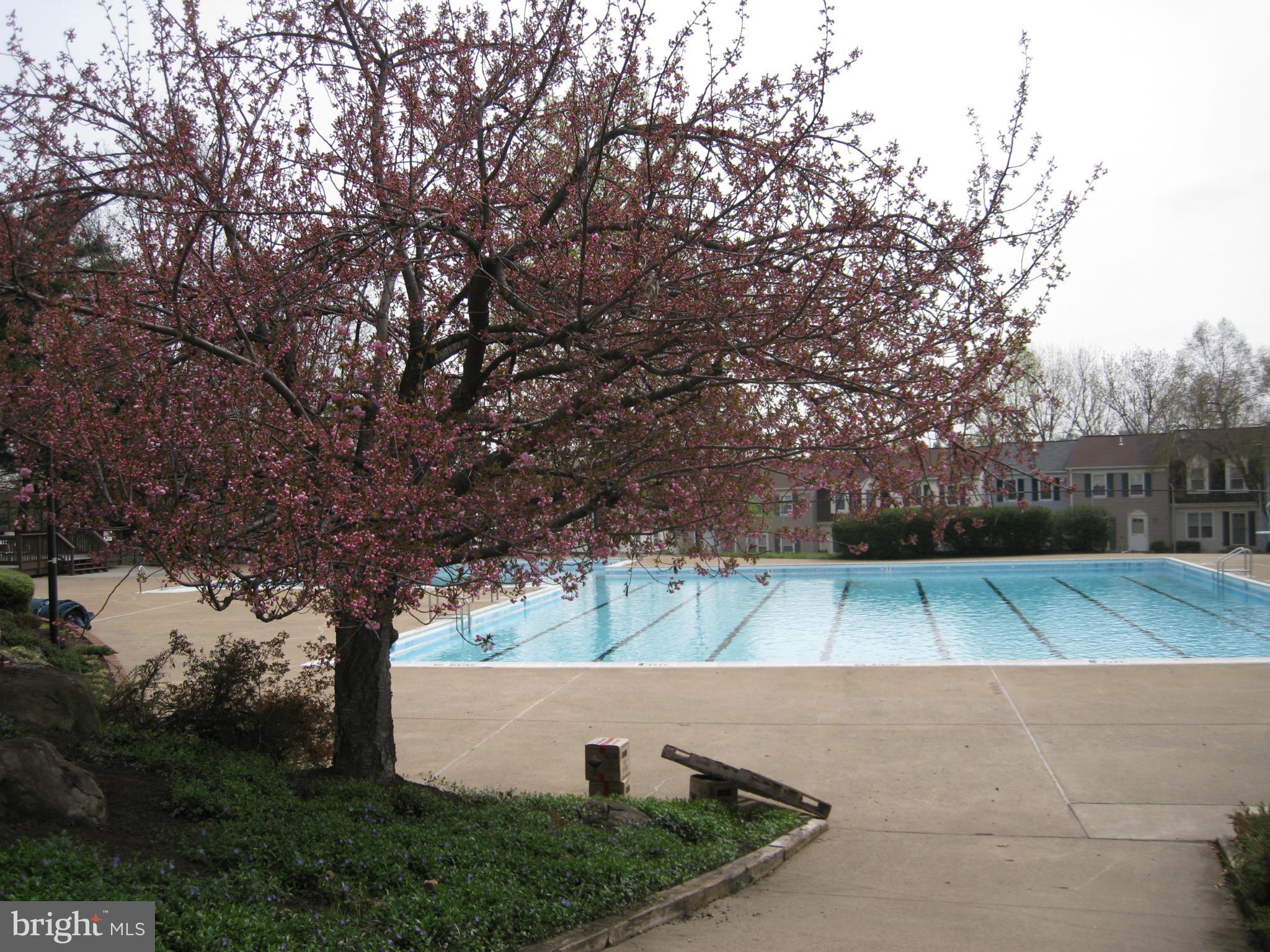 NEWBERRY - Residential