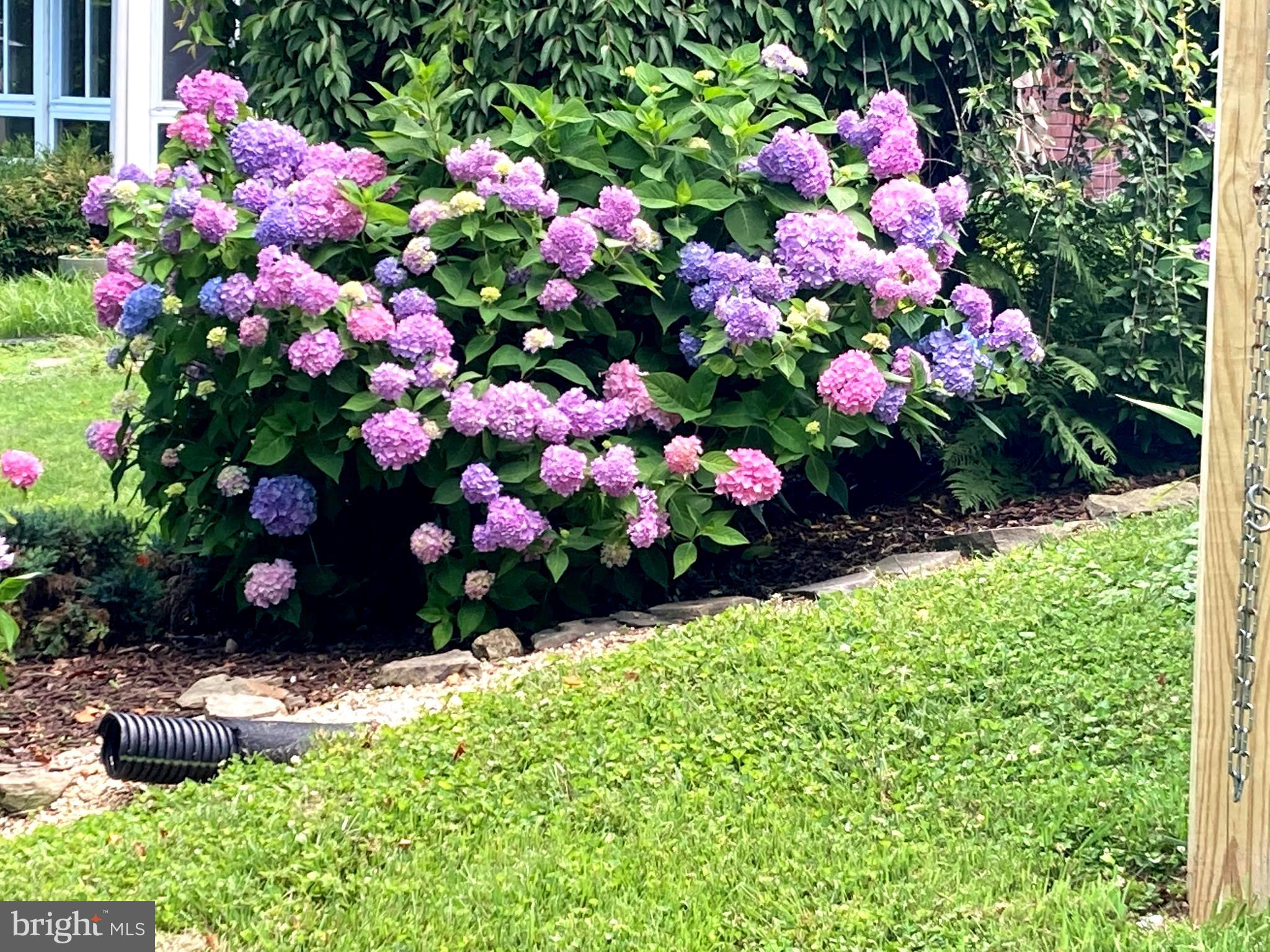 SPRINGLAKE - Residential