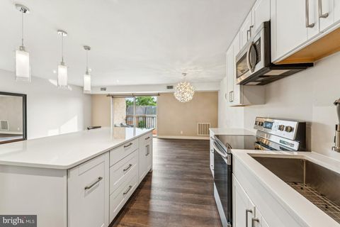 12001 OLD COLUMBIA PIKE 407 SILVER SPRING MD 20904