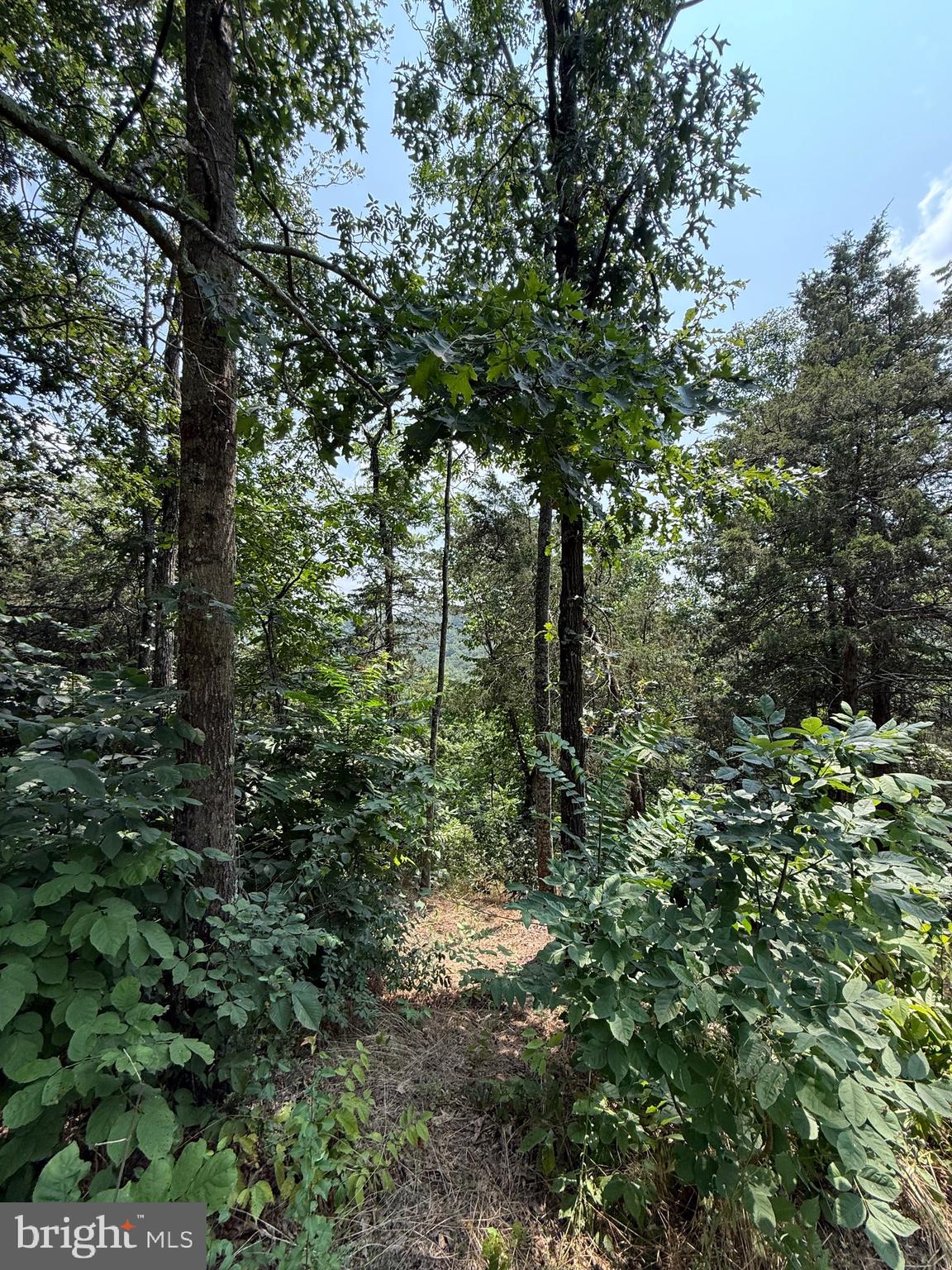 POTOMAC HIGHLAND FARM - Land