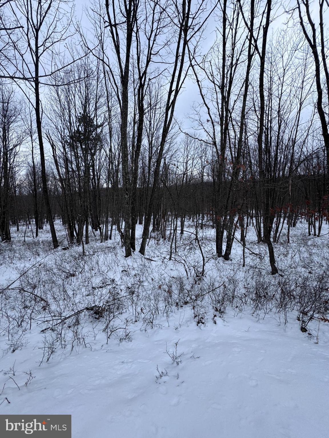 EAGLE ROCK RESORT - Land
